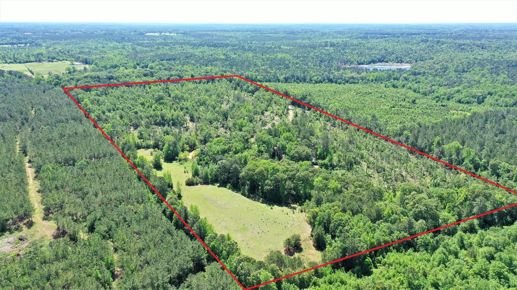 Linden, Cass County, TX Recreational Property, Hunting Property, House