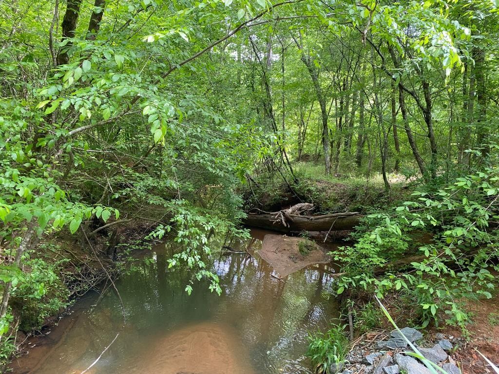 Forsyth, Monroe County, GA Undeveloped Land for sale Property ID