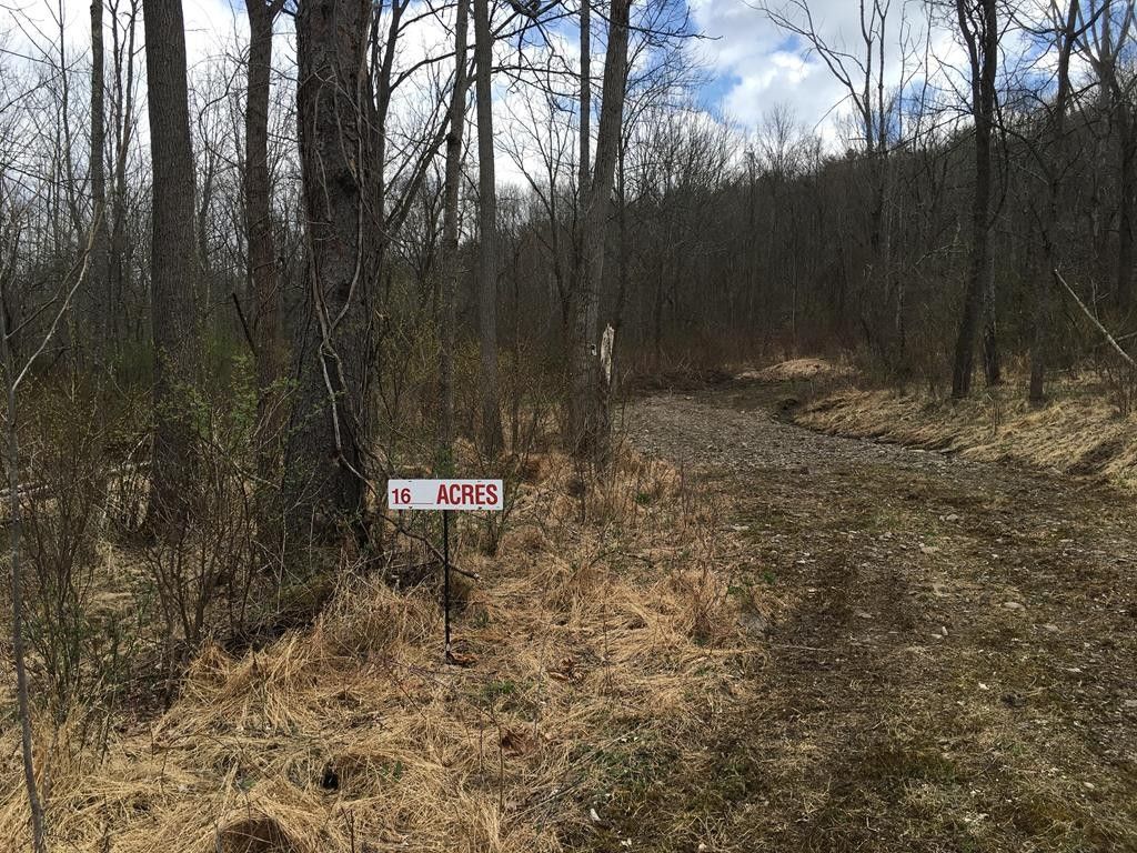 Towanda, Bradford County, PA Undeveloped Land for sale Property ID 413505715 LandWatch