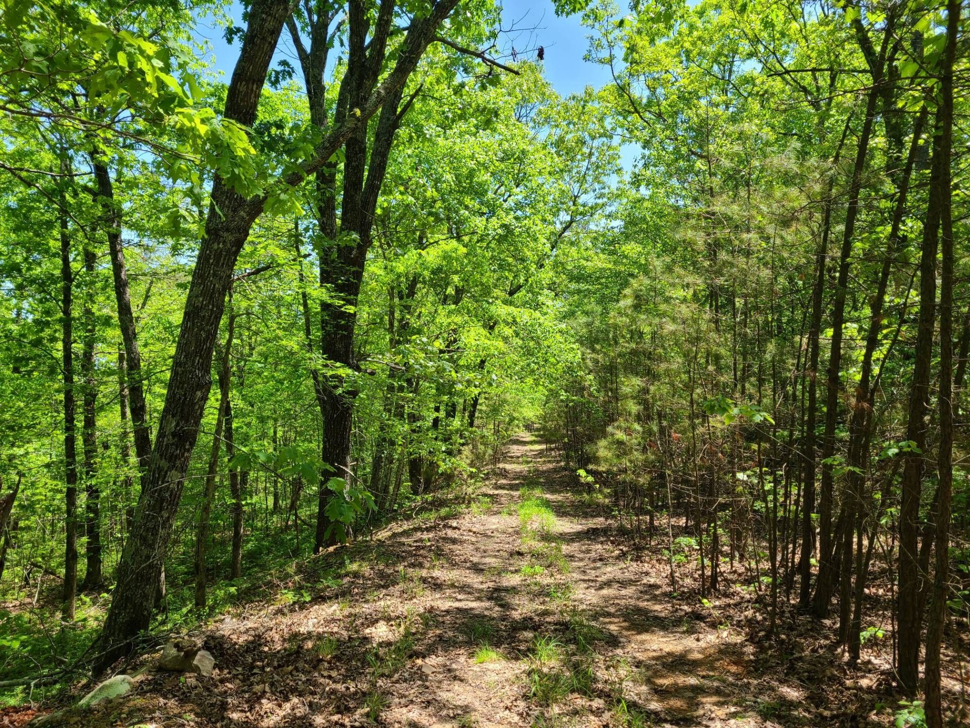 Honobia, Le Flore County, OK Undeveloped Land for sale Property ID