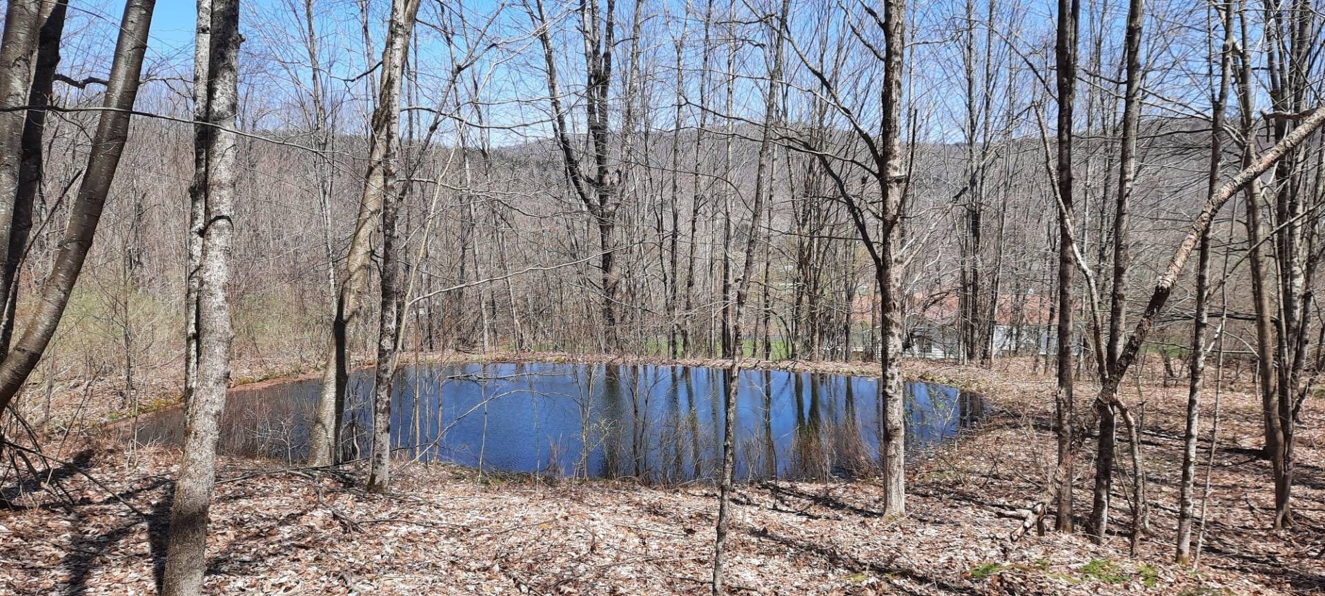 Downsville, Delaware County, NY Undeveloped Land, Lakefront Property