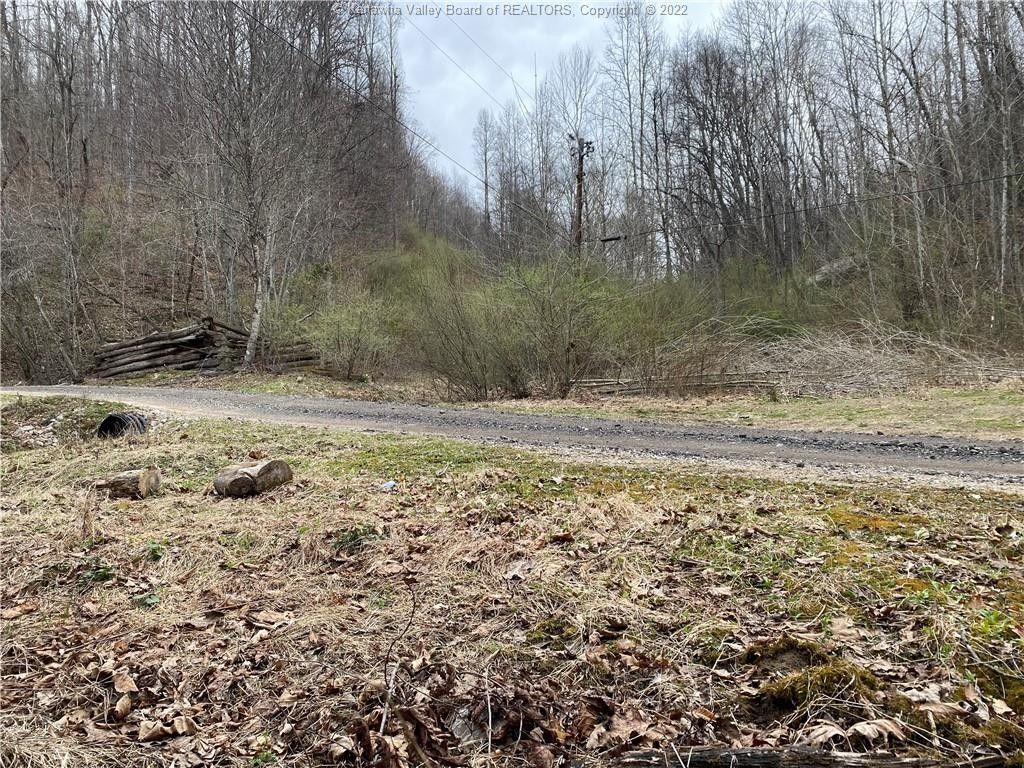 Spurlockville, Lincoln County, WV Undeveloped Land, Lakefront Property