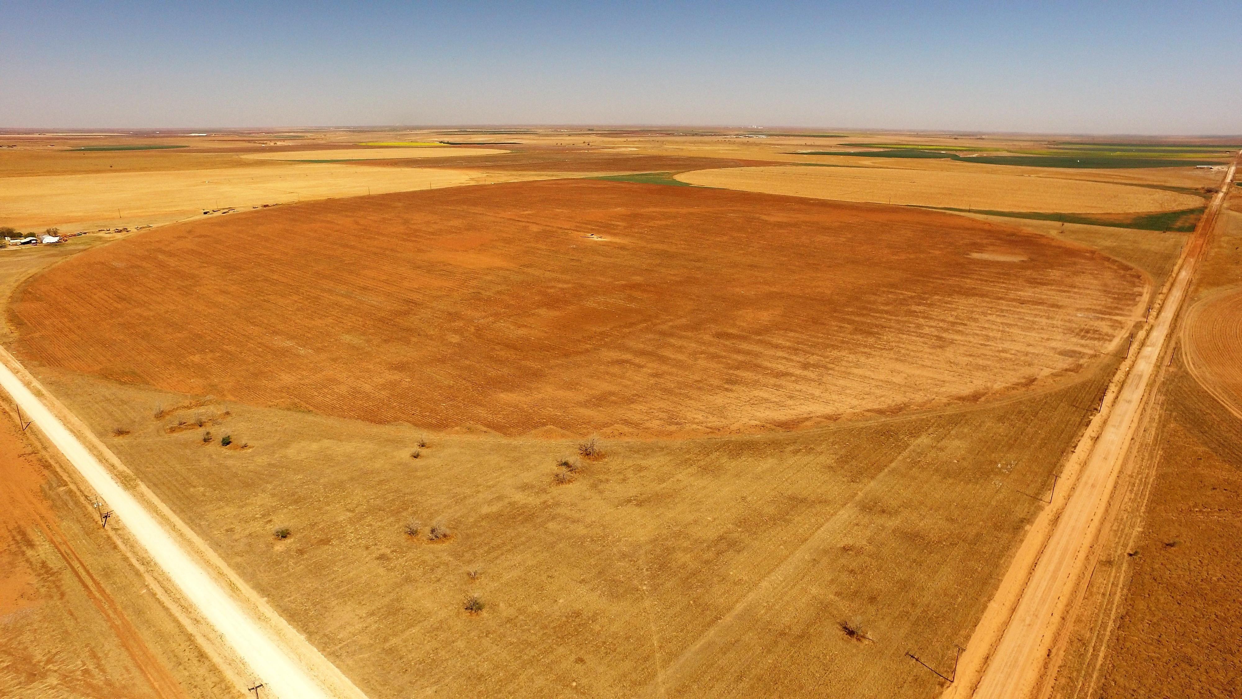 Littlefield, Lamb County, TX Farms and Ranches for auction Property ID