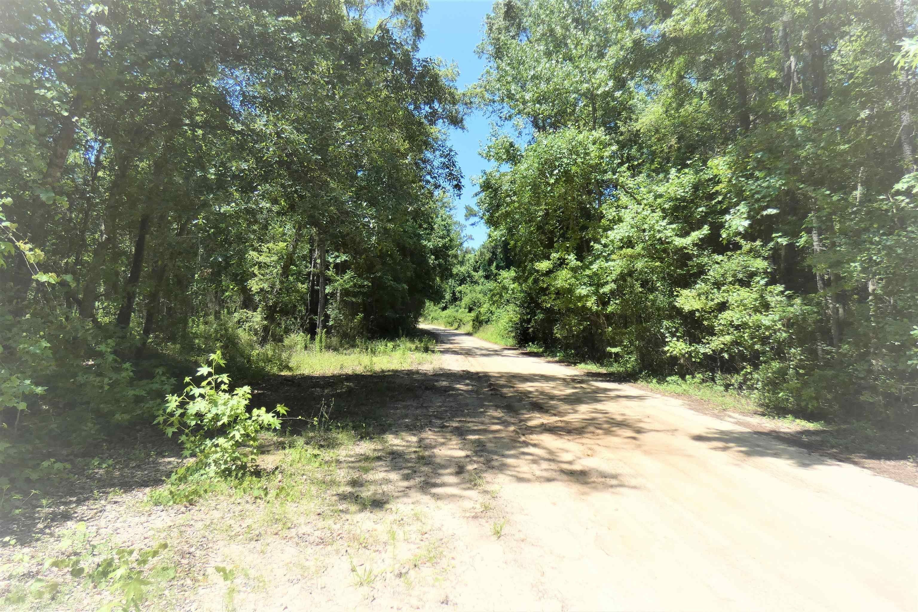 Greenville, Jefferson County, FL Undeveloped Land, Homesites for sale Property ID 413510152
