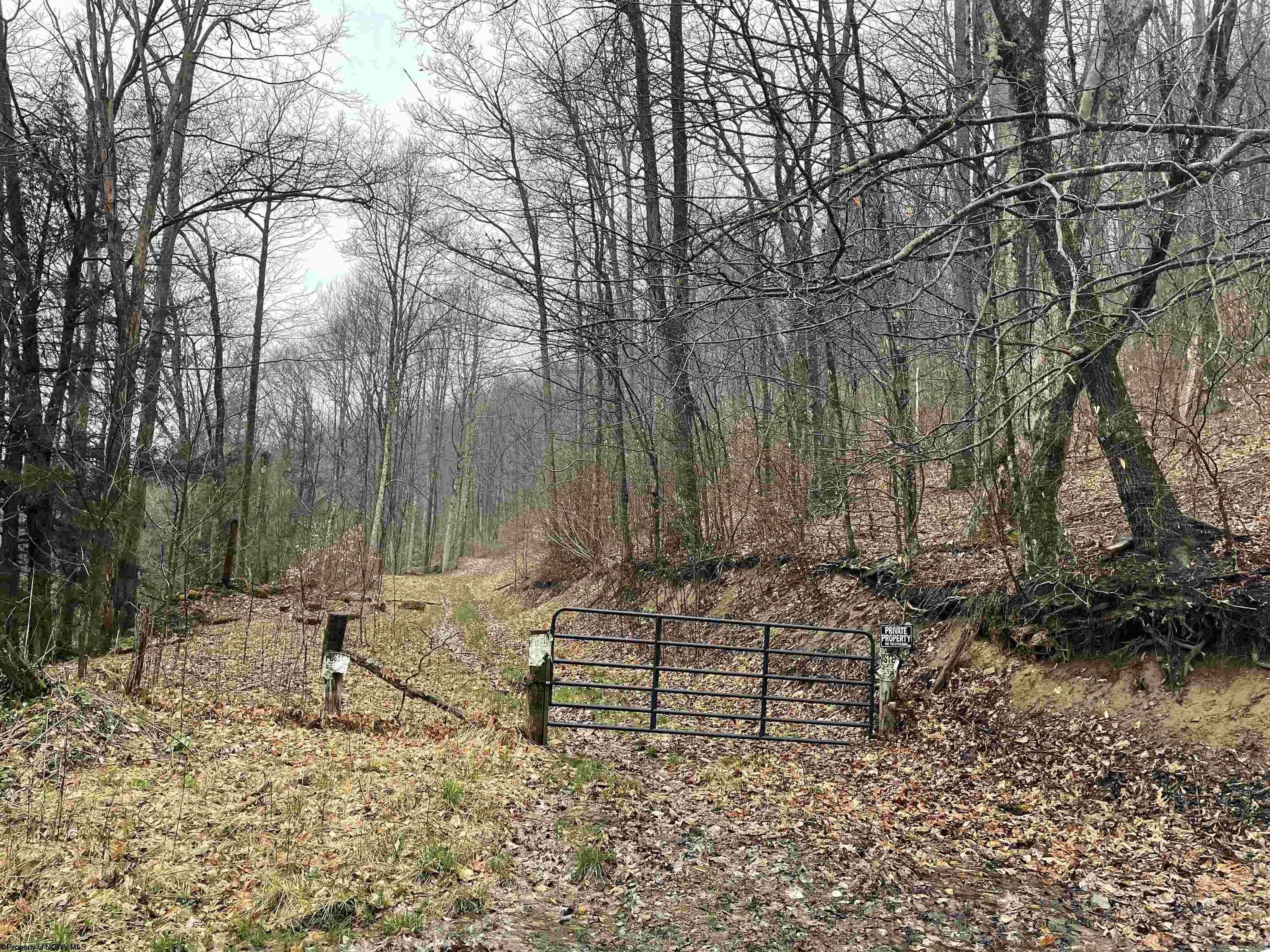 Montrose, Randolph County, WV Farms and Ranches, Lakefront Property, Waterfront Property for