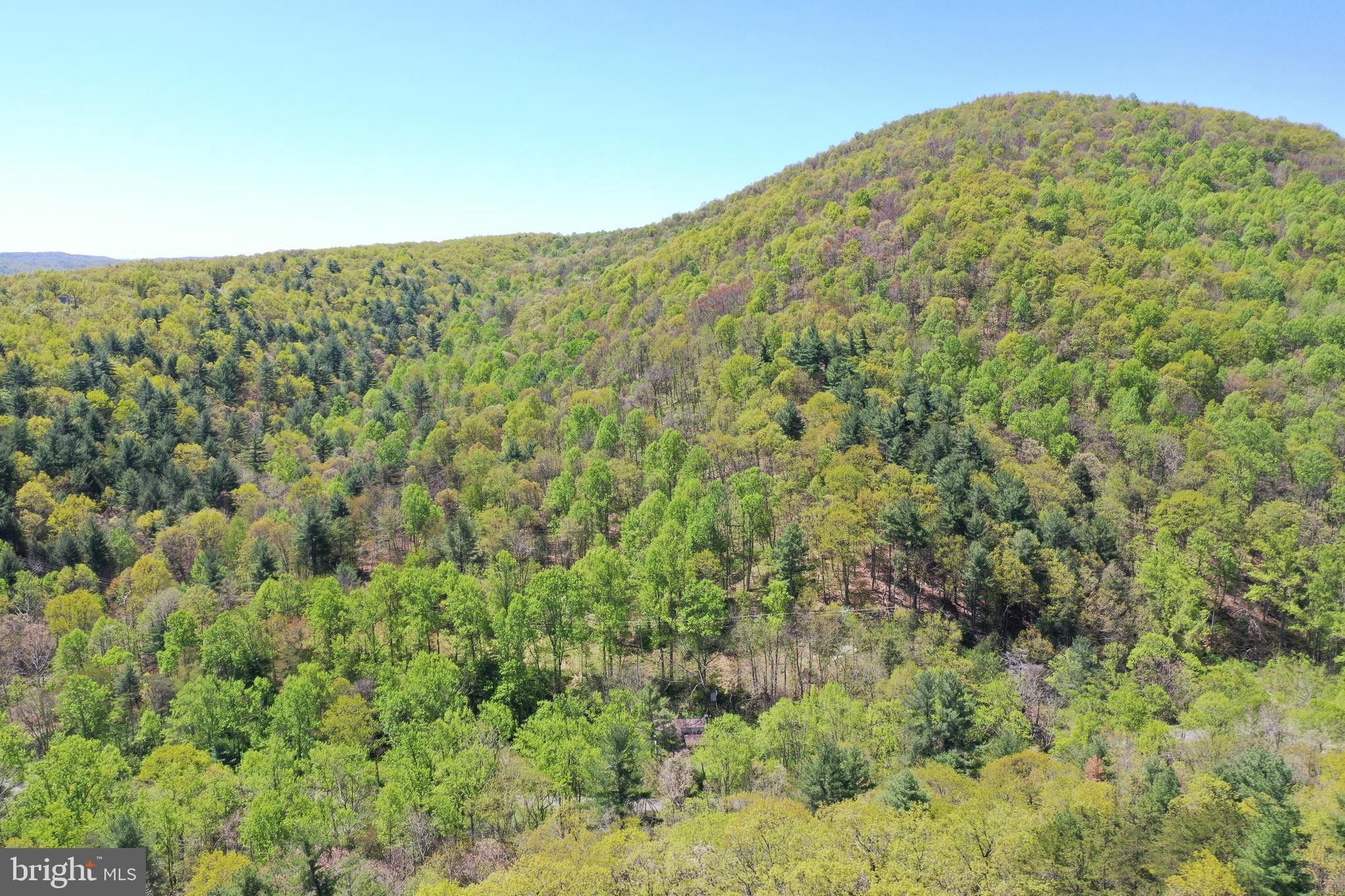 Paw Paw, Hampshire County, WV Undeveloped Land, Lakefront Property