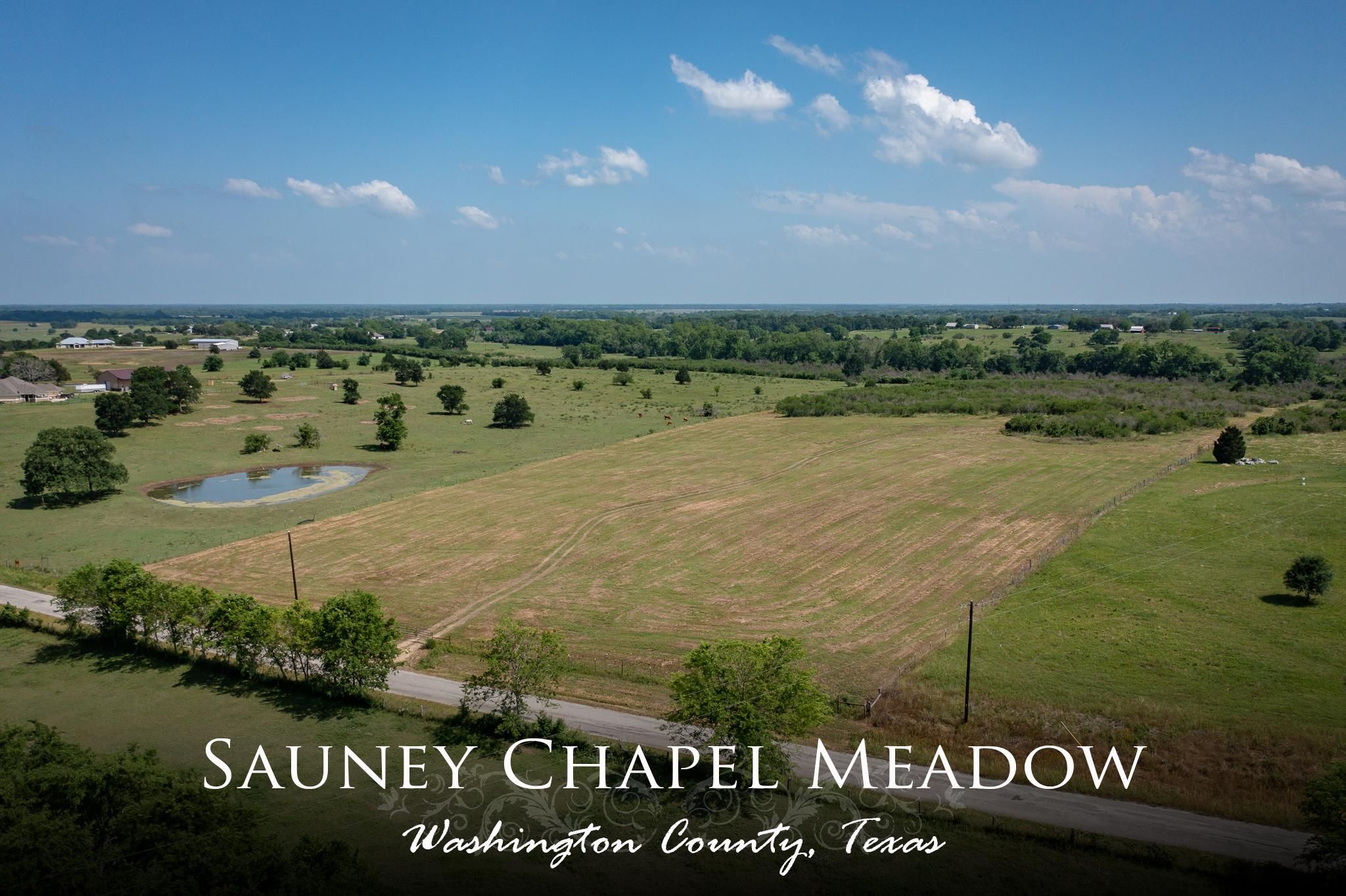 Chappell Hill, Washington County, TX Undeveloped Land for sale Property ID 413515310 LandWatch
