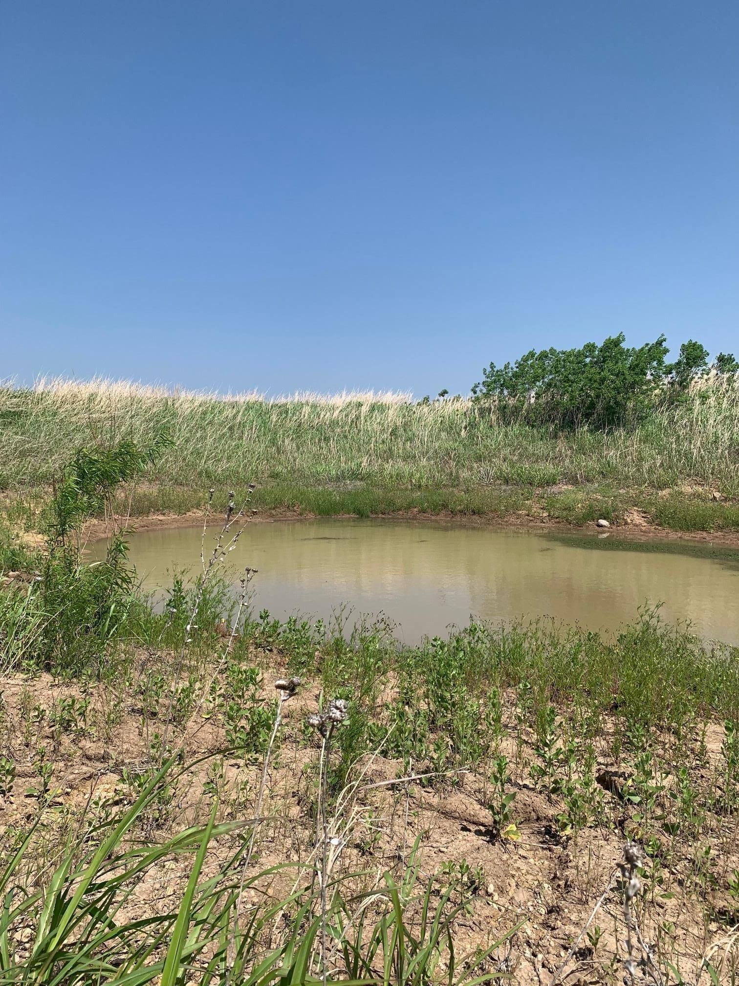 Olney, Young County, TX Farms and Ranches, Recreational Property