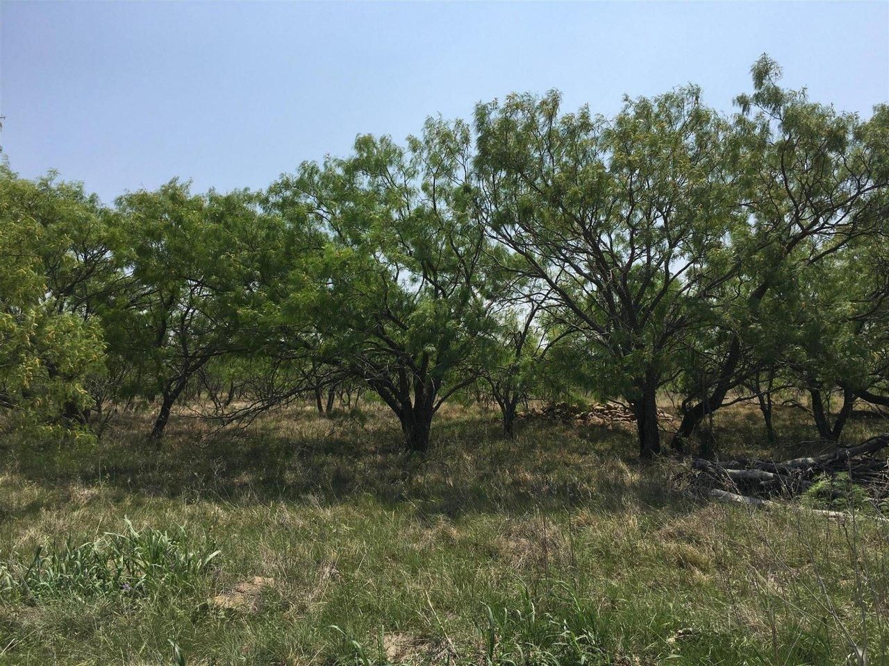 Clyde, Callahan County, TX Recreational Property, Undeveloped Land