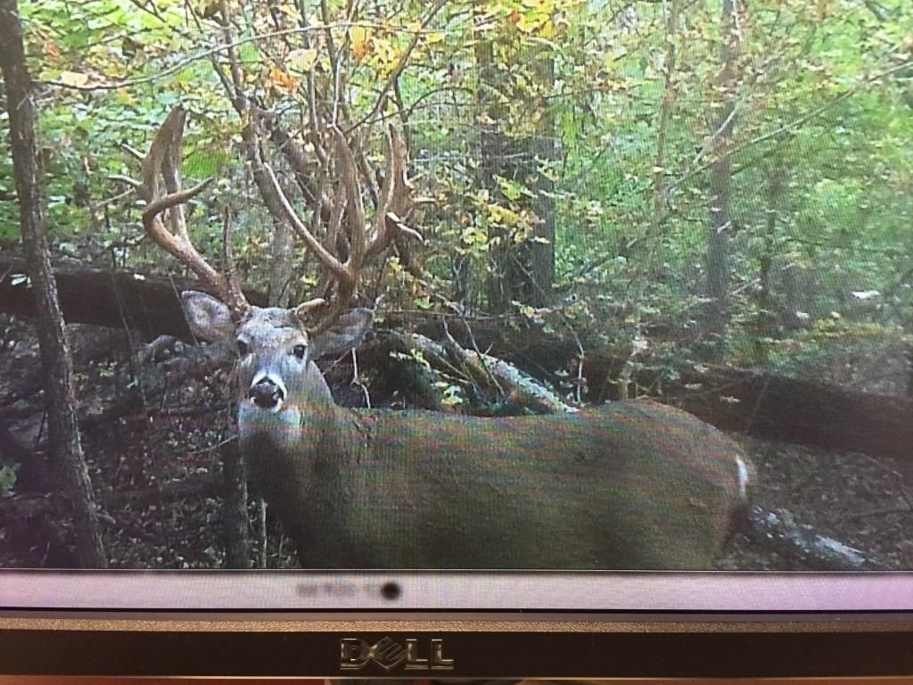 Nortonville, Hopkins County, KY Recreational Property, Hunting Property