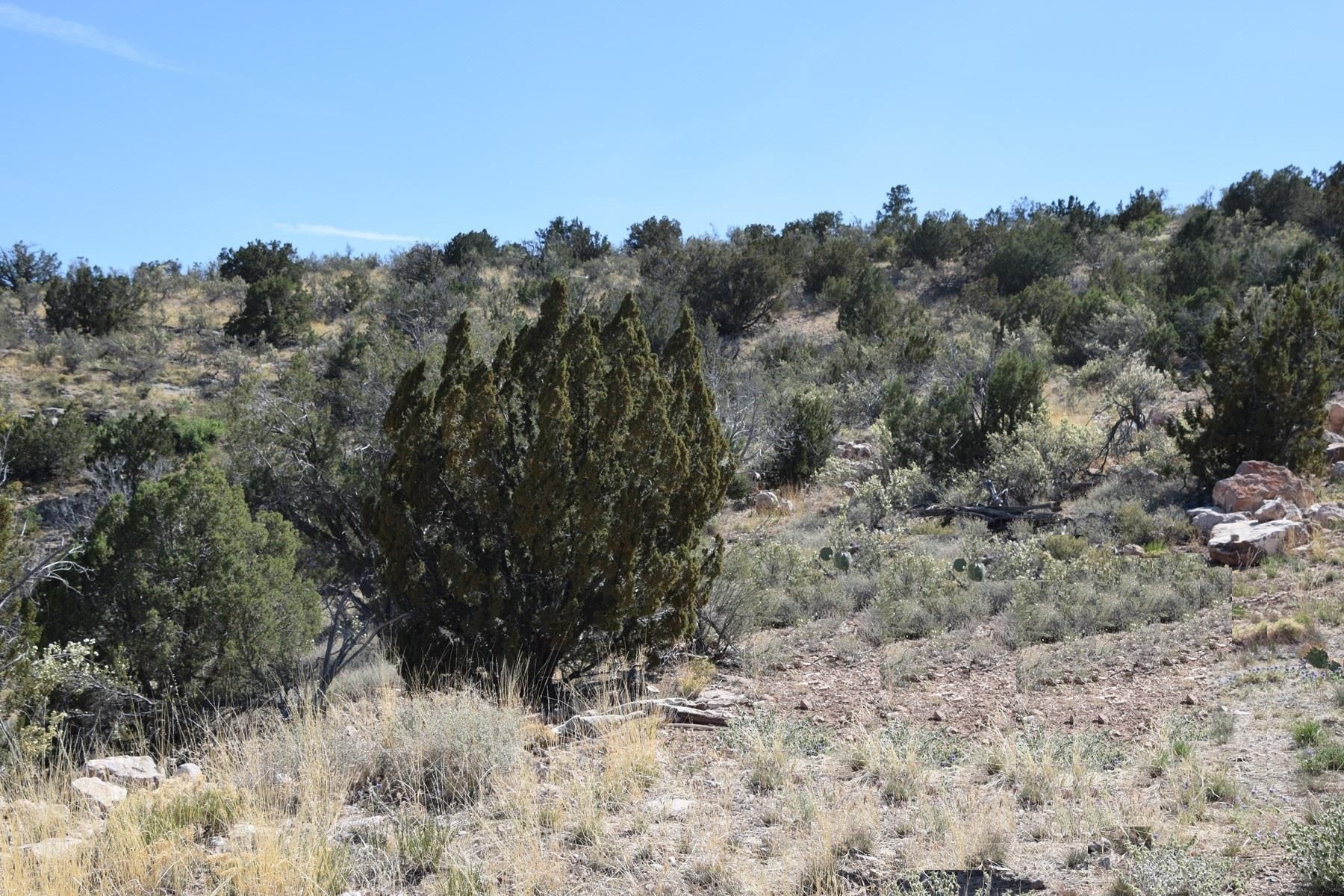 Chino Valley, Yavapai County, AZ Recreational Property, Undeveloped