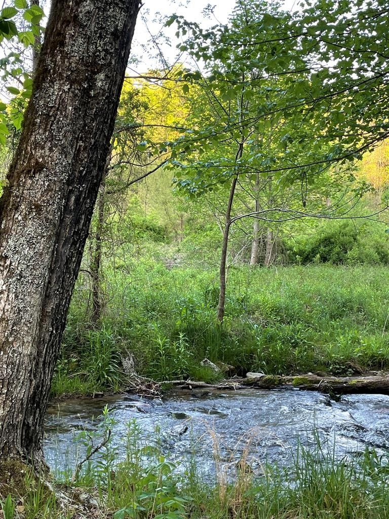 Bryson City, Swain County, NC Undeveloped Land, Lakefront Property