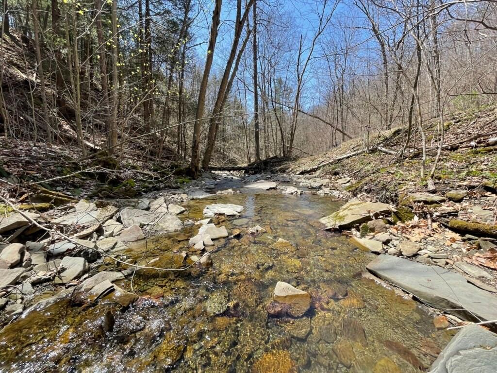 Lindley, Steuben County, NY Recreational Property, Timberland Property