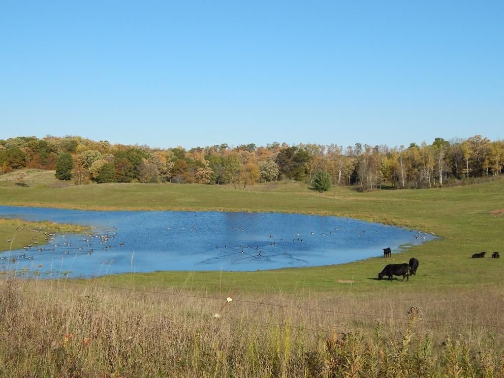 White Sulphur Springs, Meagher County, MT Farms and Ranches for sale