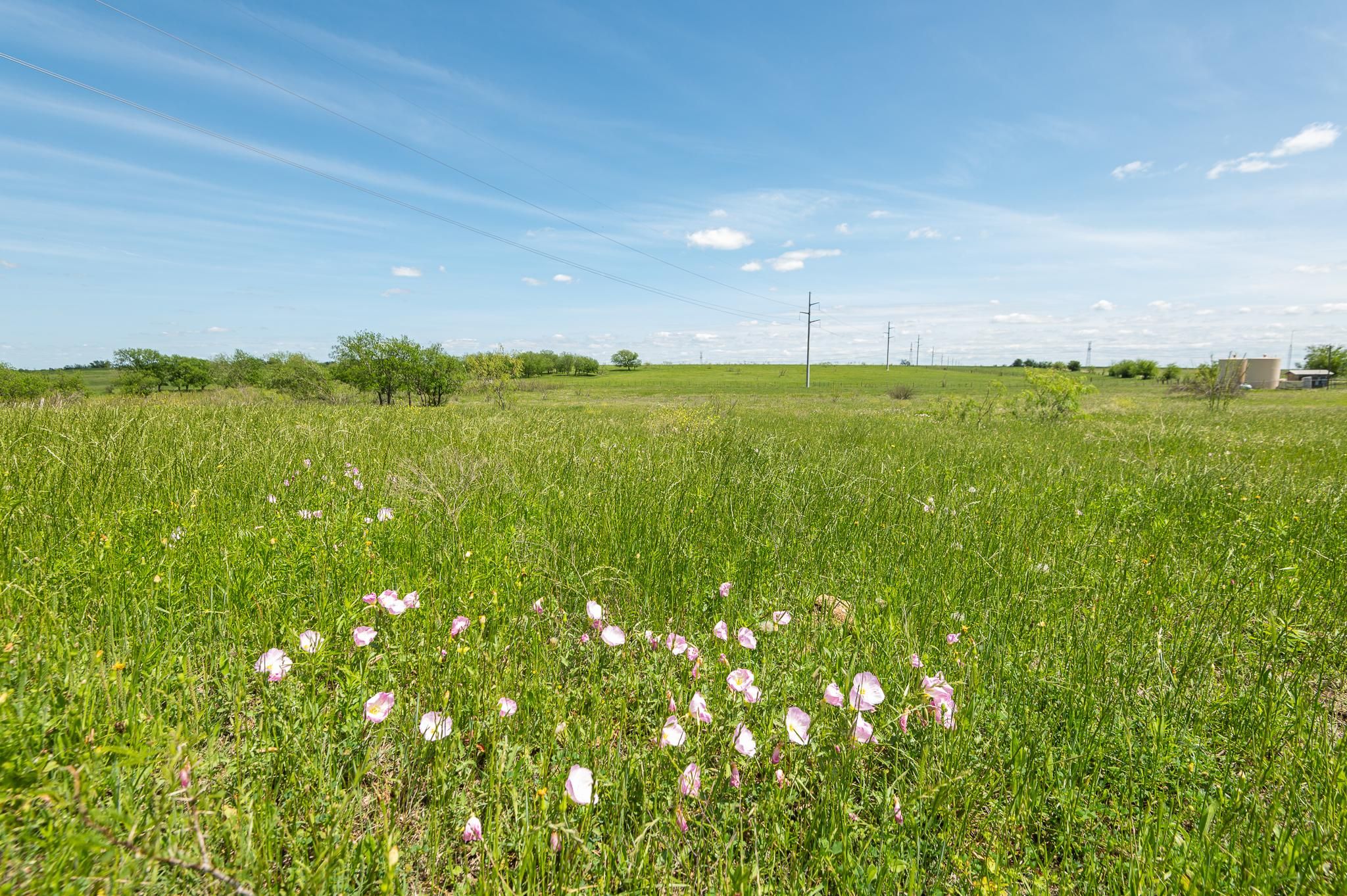 County Road 133, Burlington, TX 76519 MLS 4213922219 LandWatch