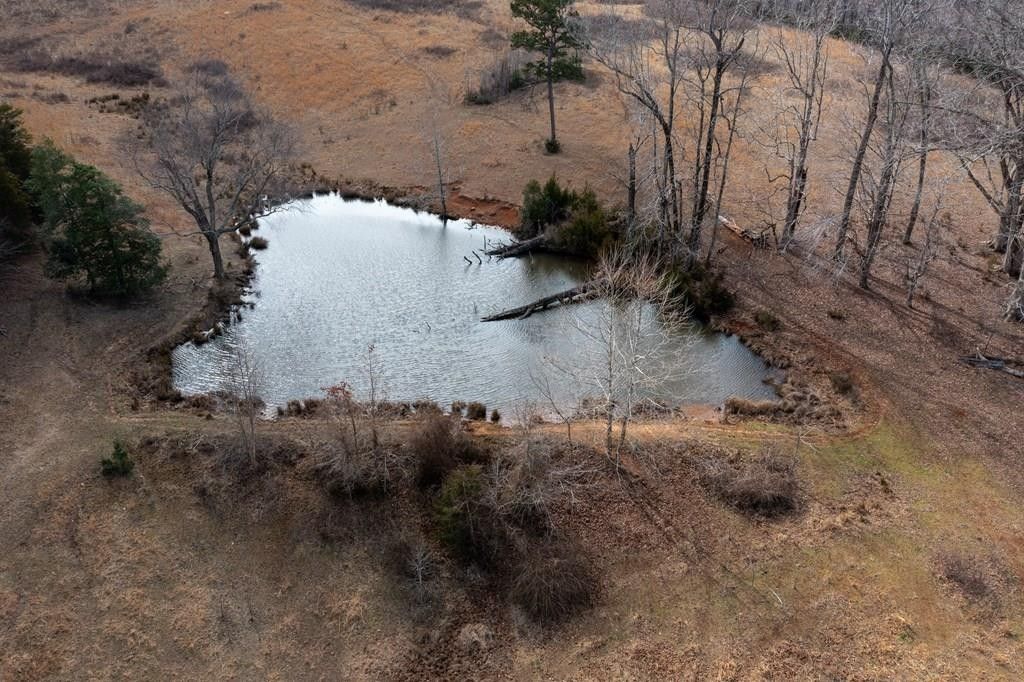 Brodnax, Mecklenburg County, VA Farms and Ranches, Lakefront Property