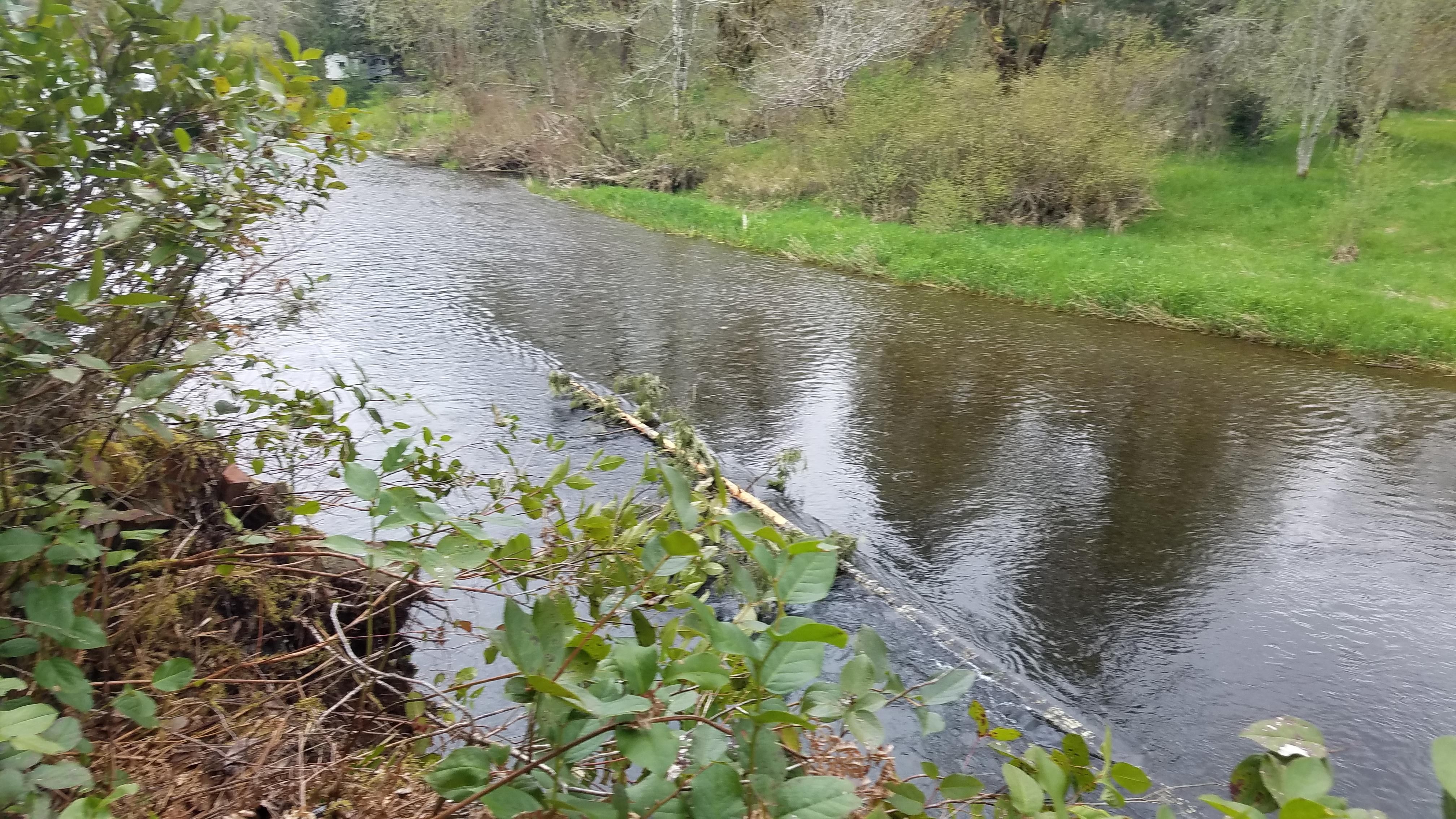 Elma, Mason County, WA Recreational Property, Timberland Property
