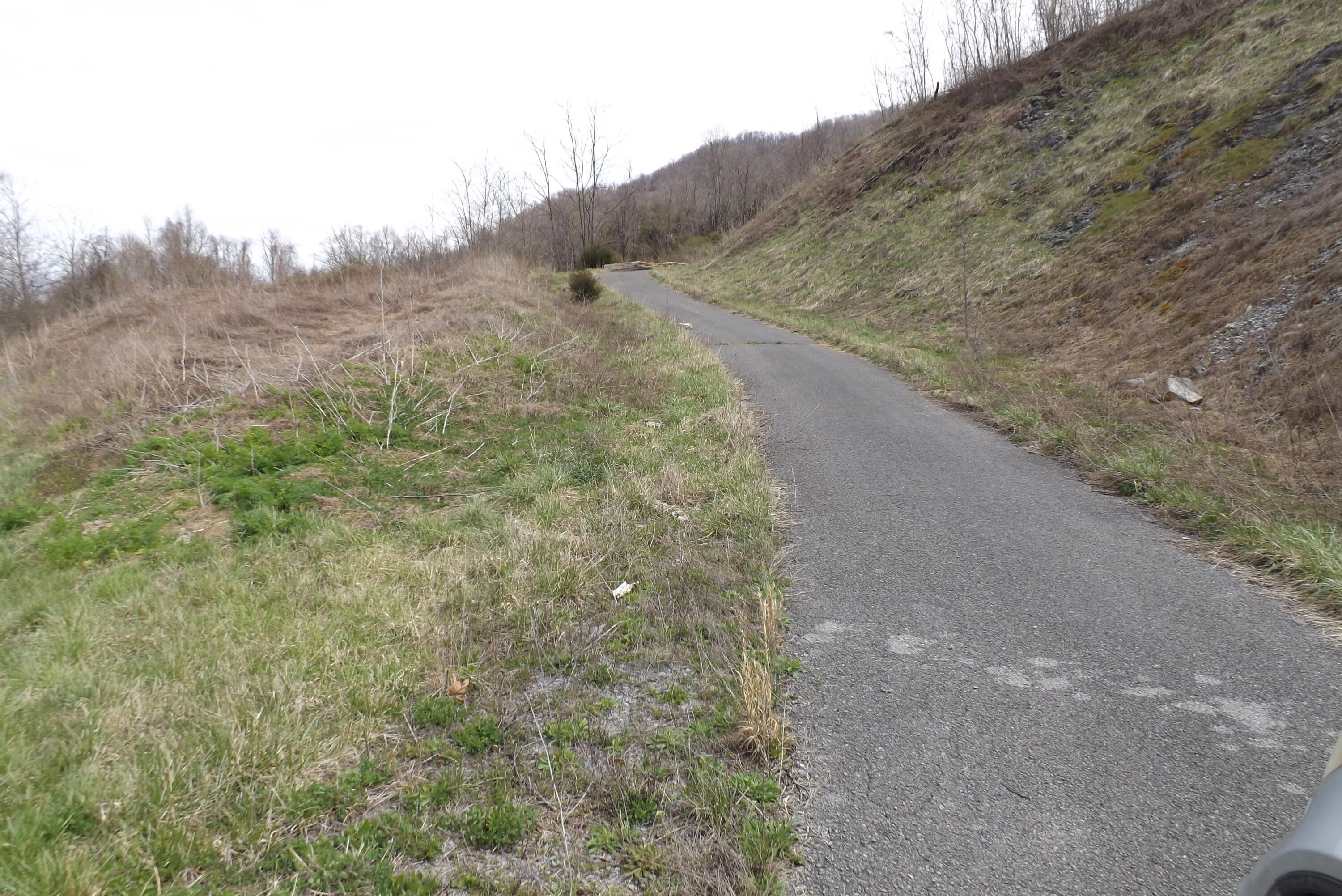 Big Stone Gap, Lee County, VA Undeveloped Land for sale Property ID