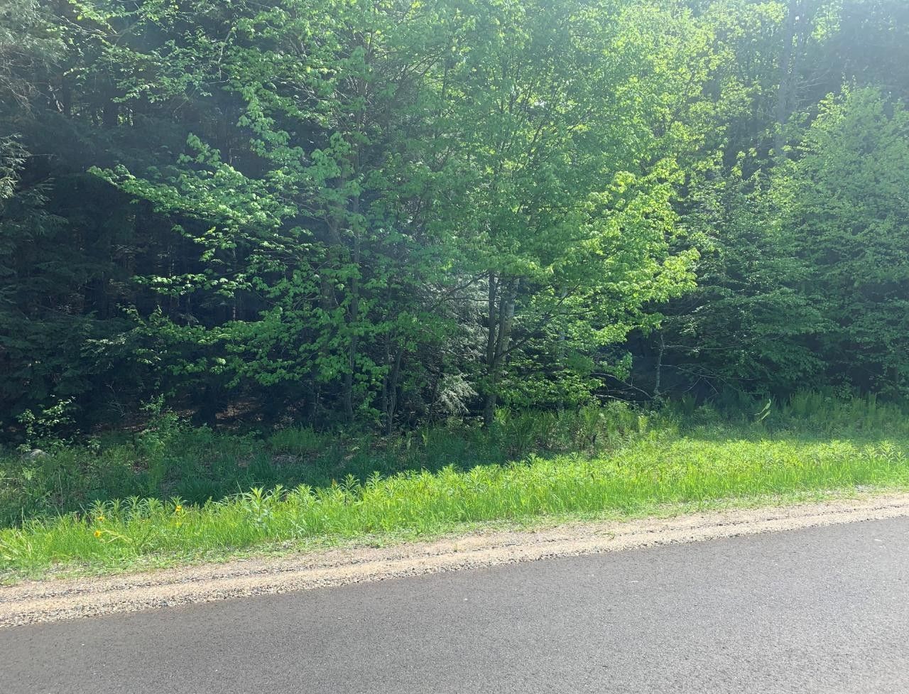 Summit Lake, Langlade County, WI Undeveloped Land, Lakefront Property