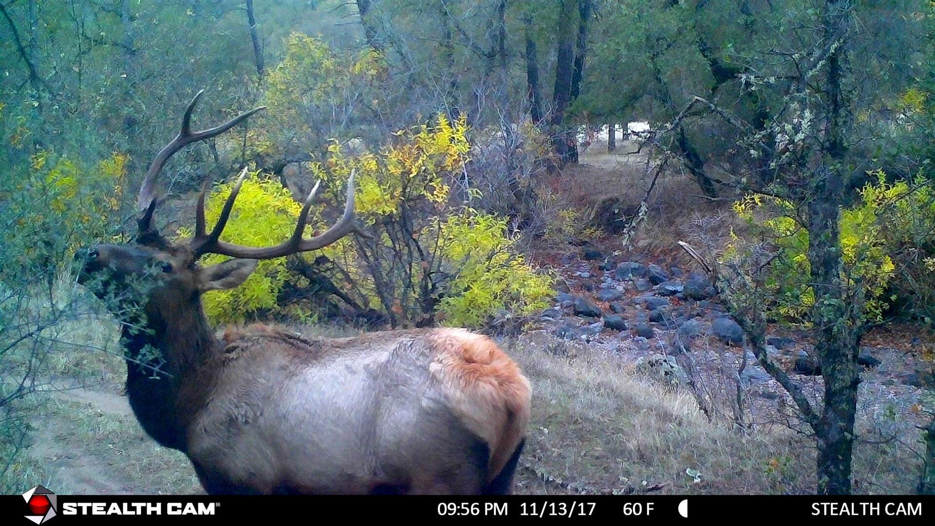 Oak Run, Shasta County, CA Undeveloped Land, Lakefront Property