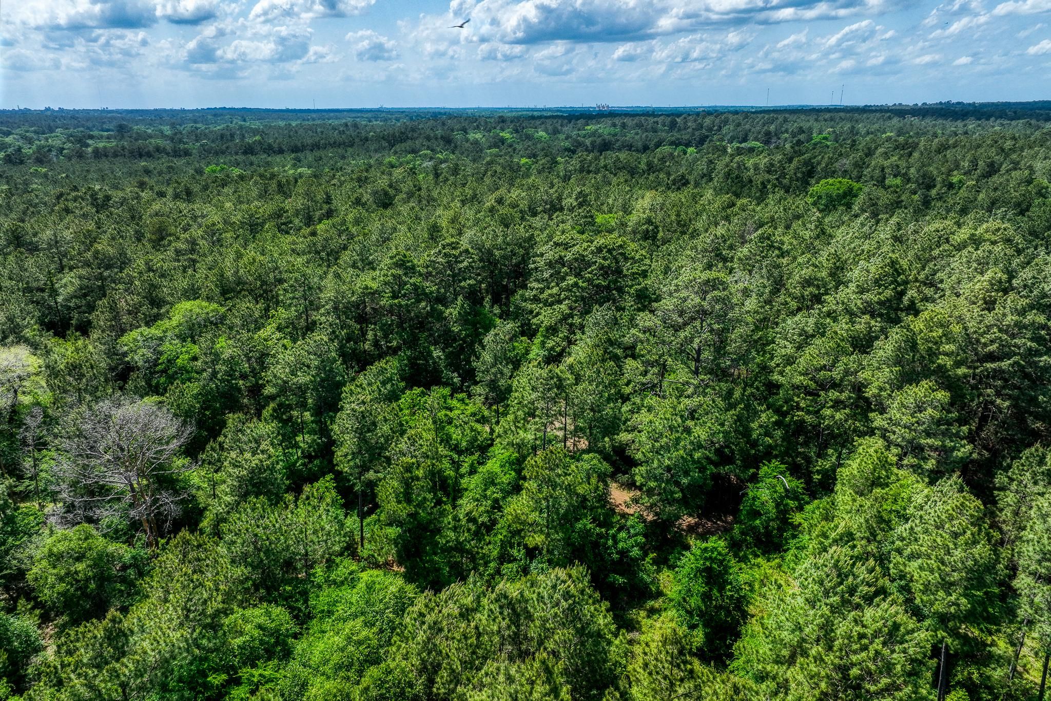 7097 COUNTY ROAD 232A, Richards, TX 77873 MLS 61495311 LandWatch