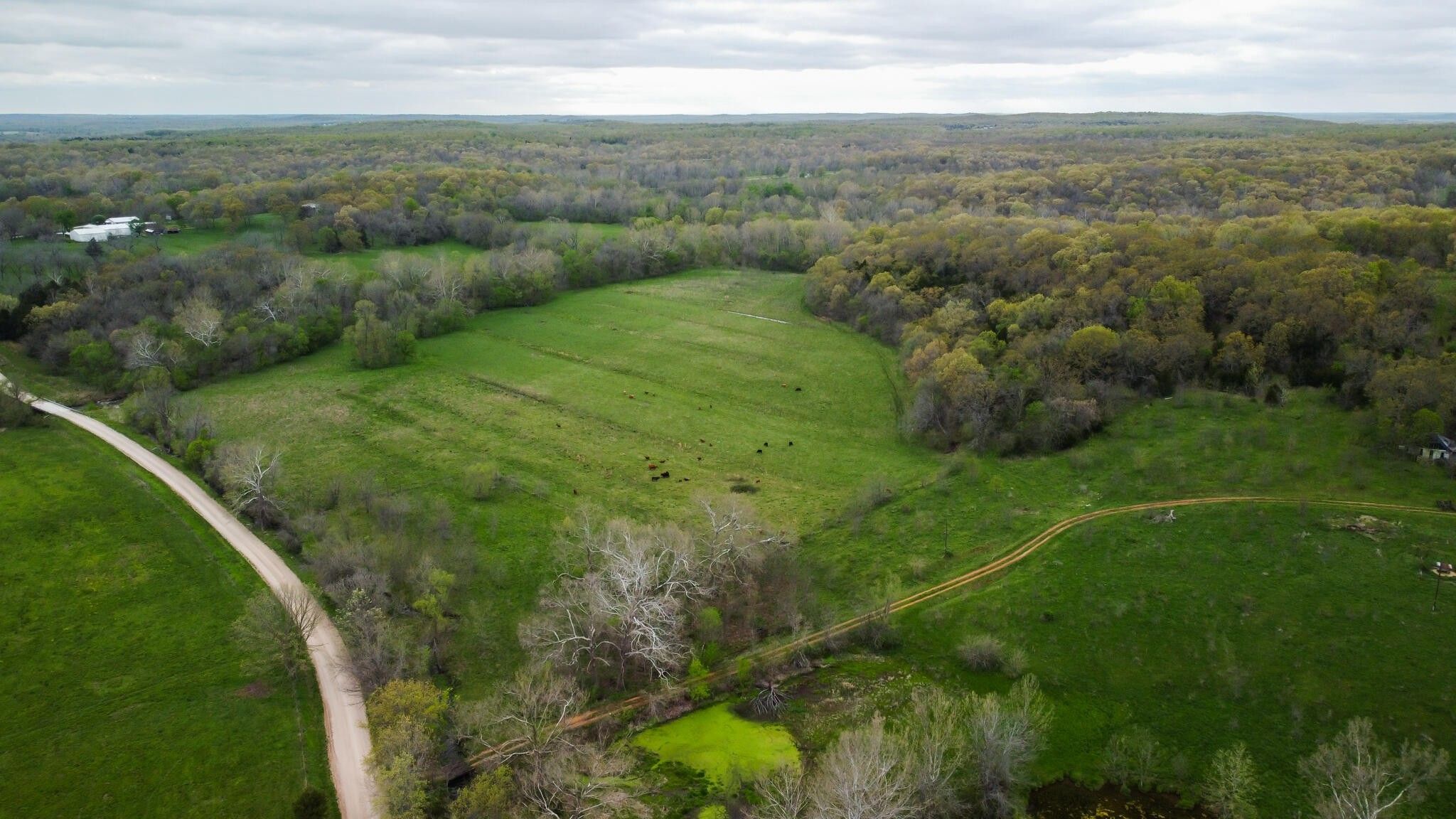 Stockton, Cedar County, MO Undeveloped Land, Lakefront Property