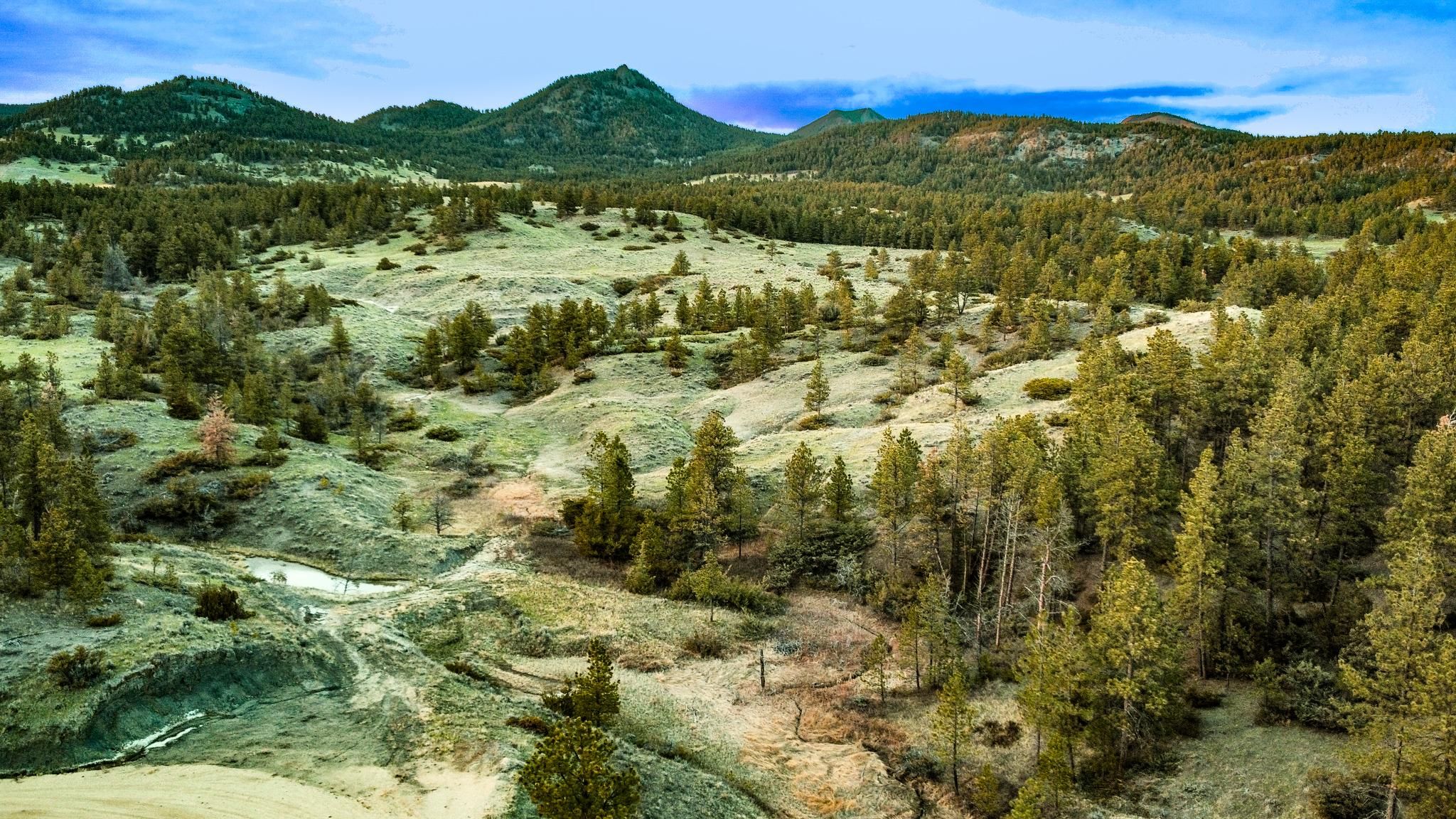 Landusky, Phillips County, MT Undeveloped Land for sale Property ID