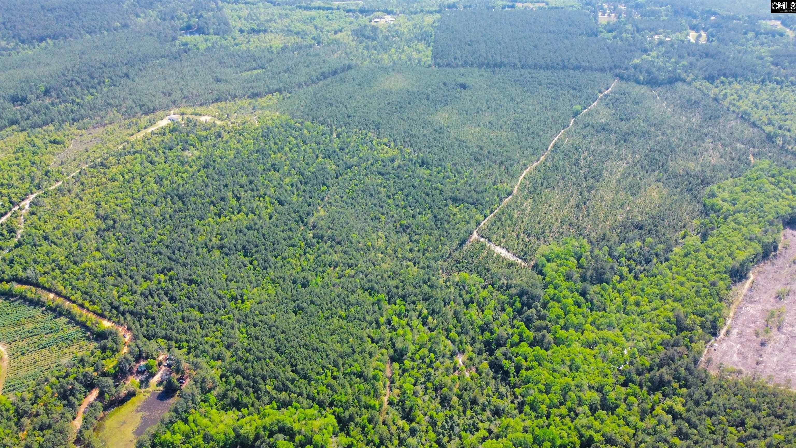 Batesburg, Aiken County, SC Undeveloped Land for sale Property ID