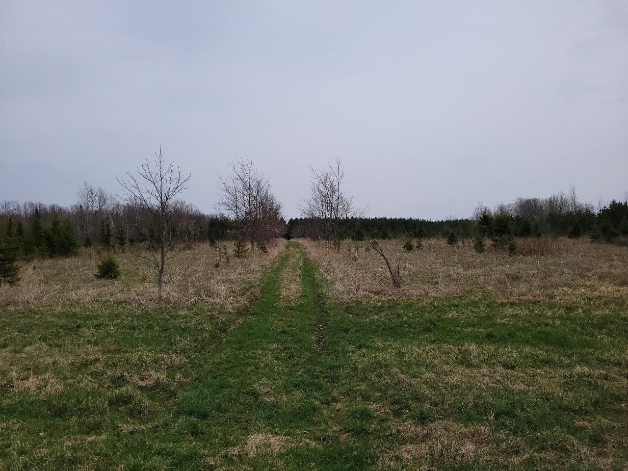 Deerbrook, Langlade County, WI Undeveloped Land for sale Property ID 413534014 LandWatch