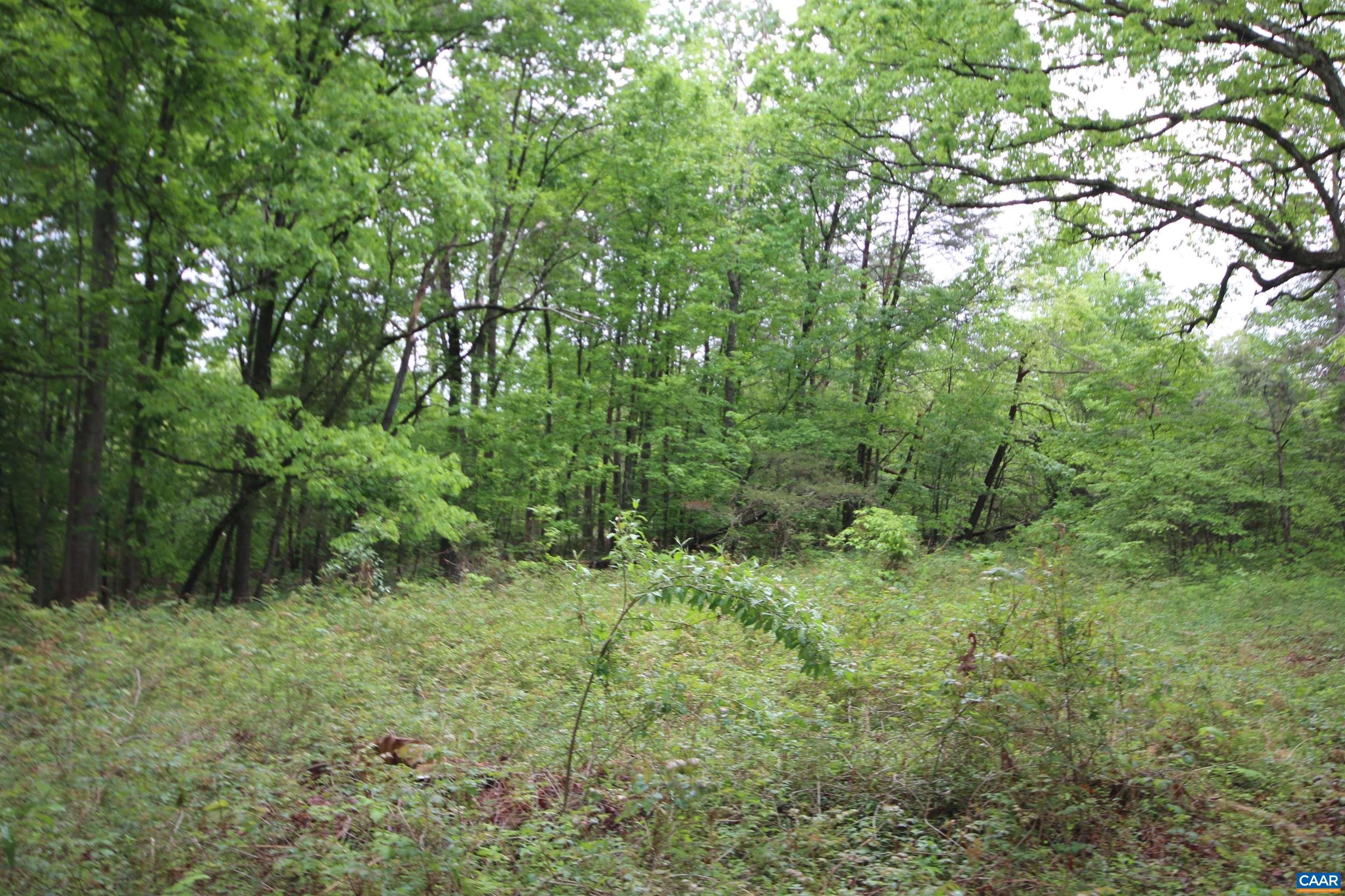 Palmyra, Fluvanna County, VA Undeveloped Land for sale Property ID