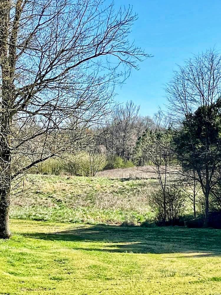 Nicholson, Jackson County, GA Farms and Ranches, Undeveloped Land for