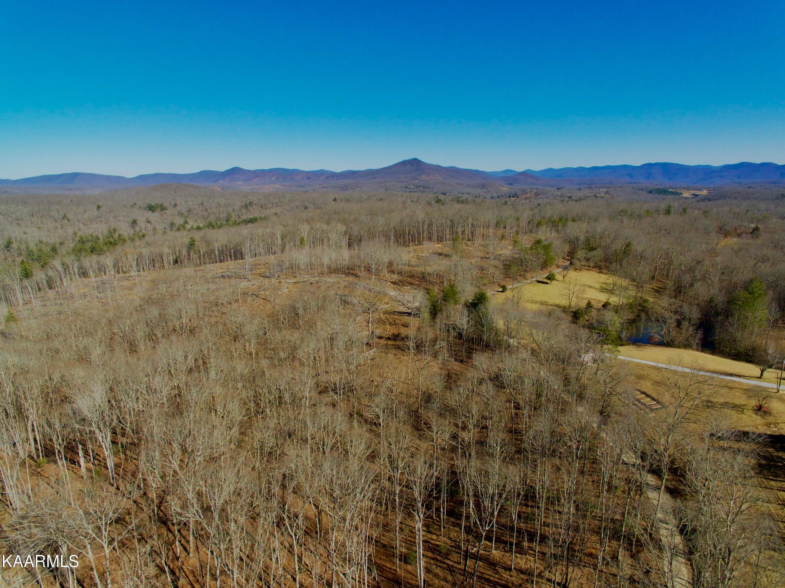 Sunbright, County, TN Undeveloped Land for sale Property ID