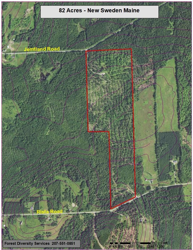 New Sweden, Aroostook County, ME Timberland Property, Undeveloped Land