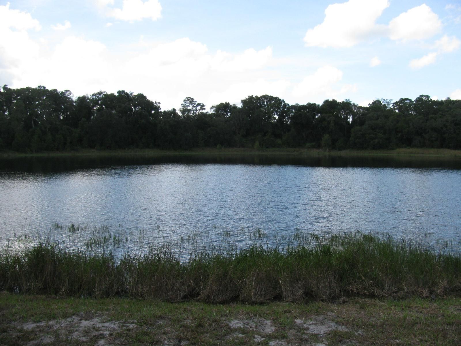 Ocklawaha, Marion County, FL Undeveloped Land, House for sale Property