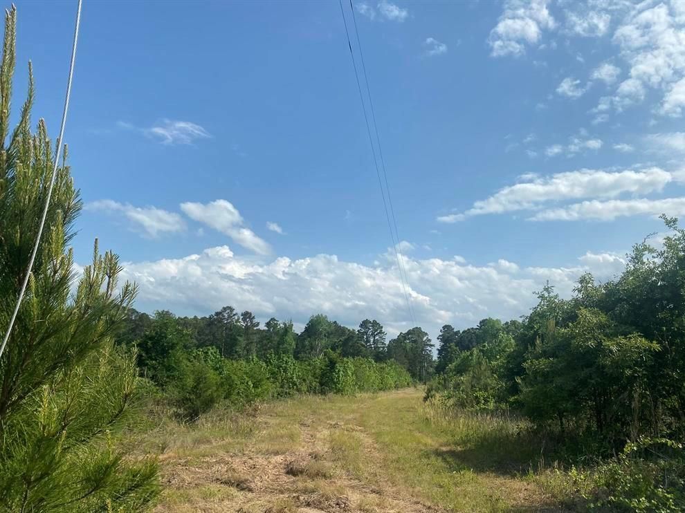 Pittsburg, Camp County, TX Recreational Property, Undeveloped Land for