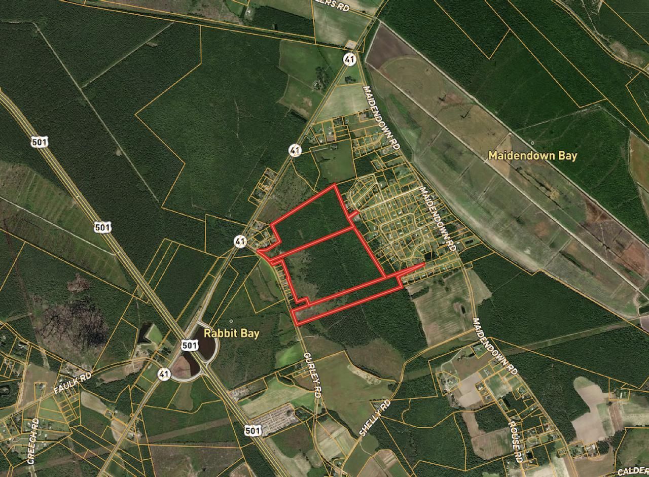 Marion, Marion County, SC Recreational Property, Timberland Property