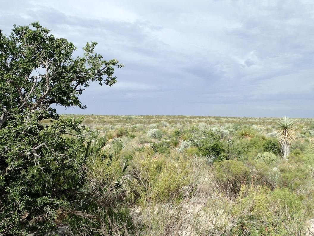 158.45 acres in Sanderson, TX, 79848 LandWatch