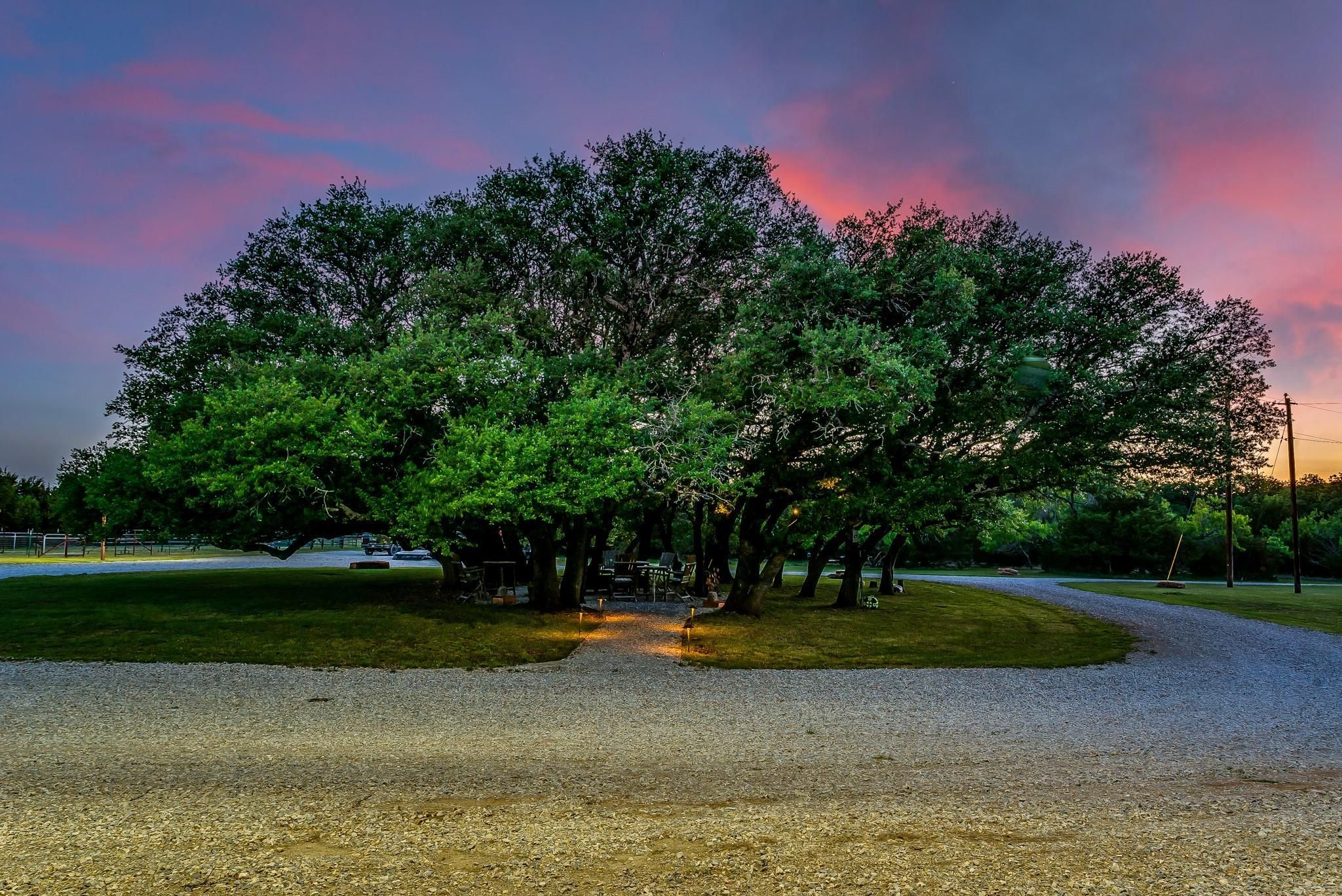 Jacksboro, Jack County, TX Farms and Ranches, Recreational Property