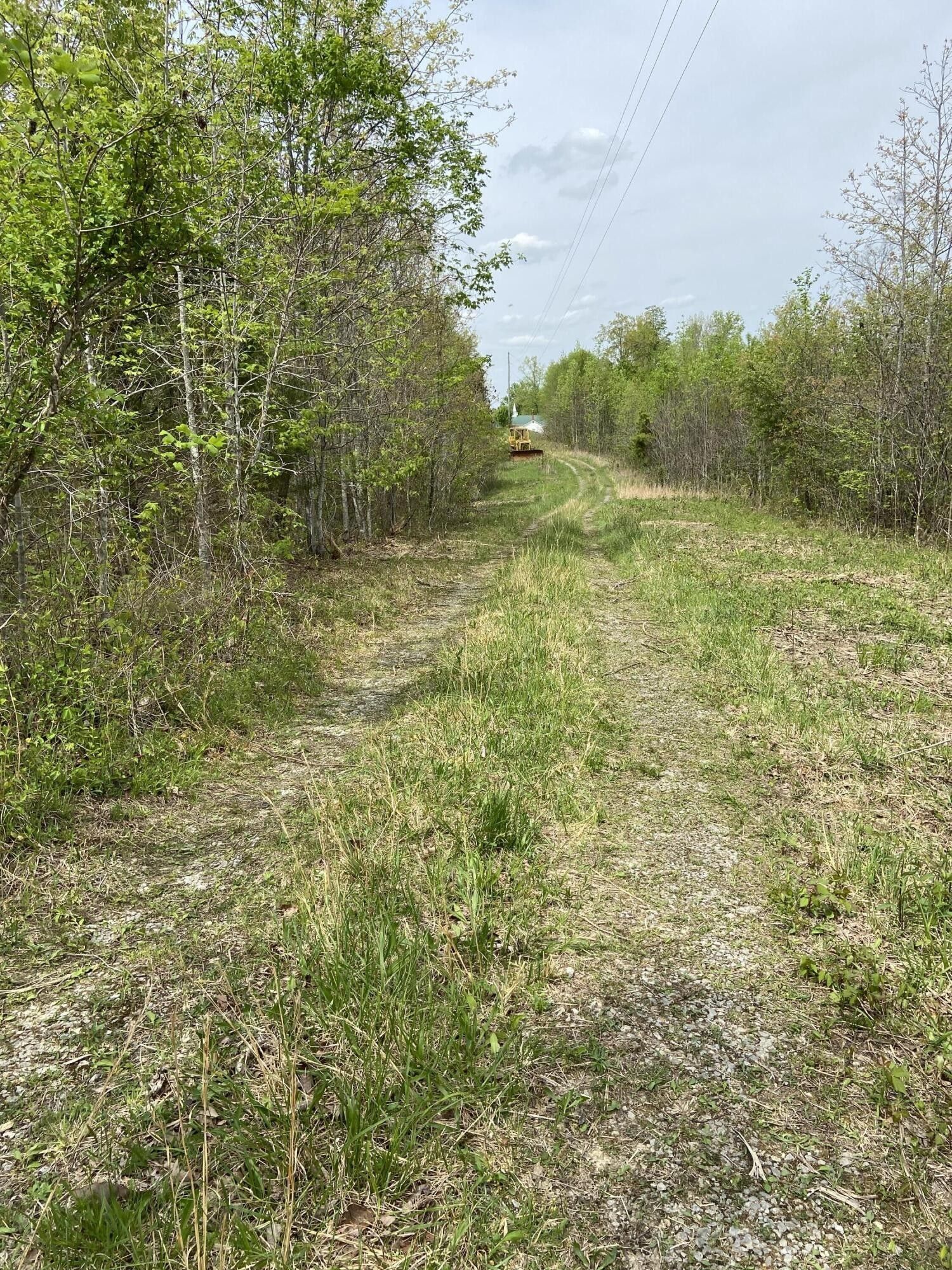 Honeybee, McCreary County, KY Farms and Ranches for sale Property ID