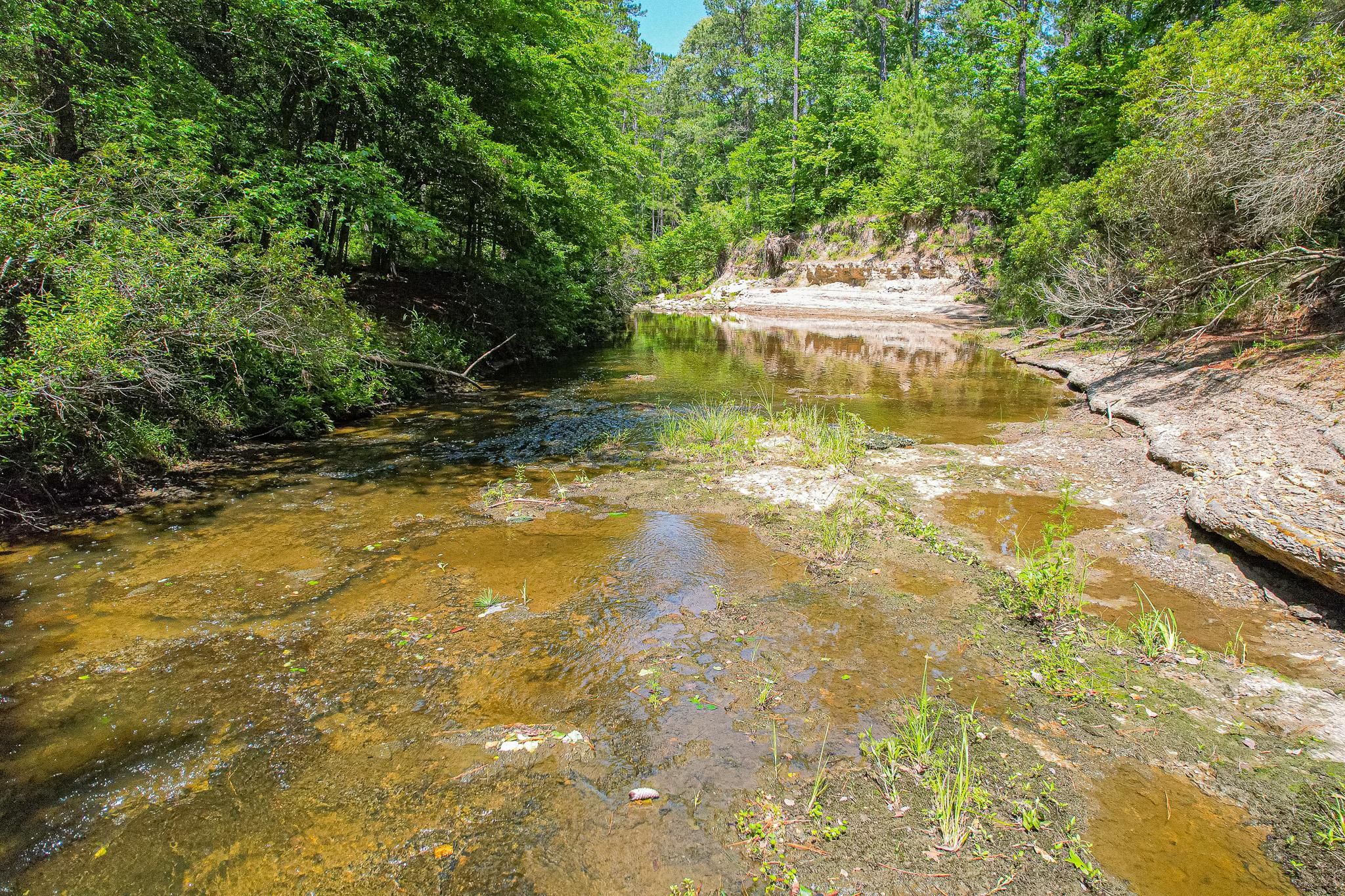 Josserand, Trinity County, TX Recreational Property, Undeveloped Land