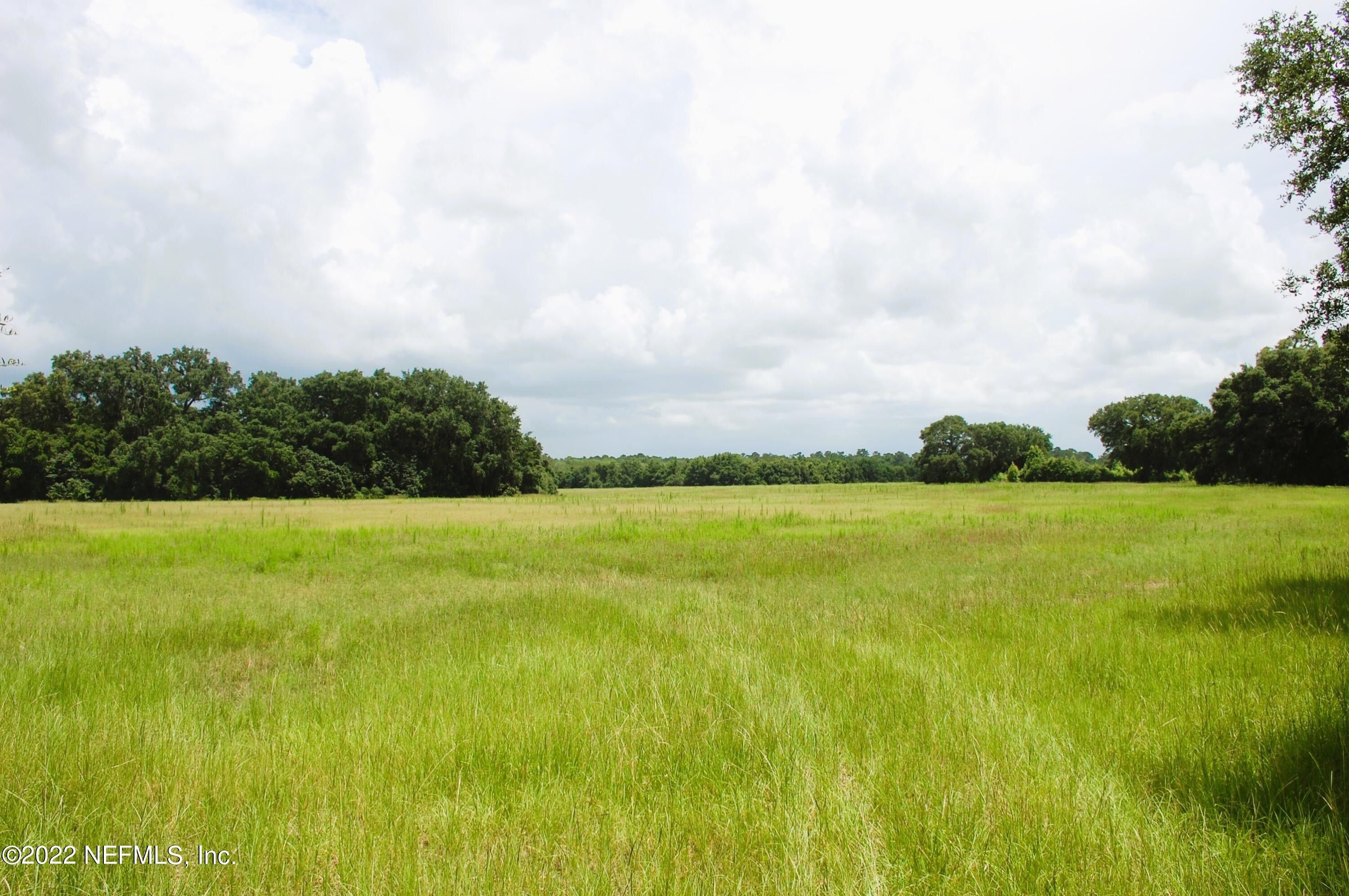 Melrose, Alachua County, FL Undeveloped Land, Lakefront Property