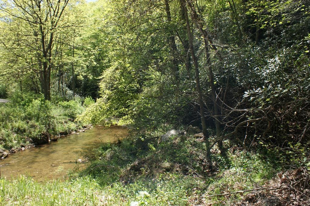 Hillsville, Carroll County, VA Farms and Ranches for sale Property ID