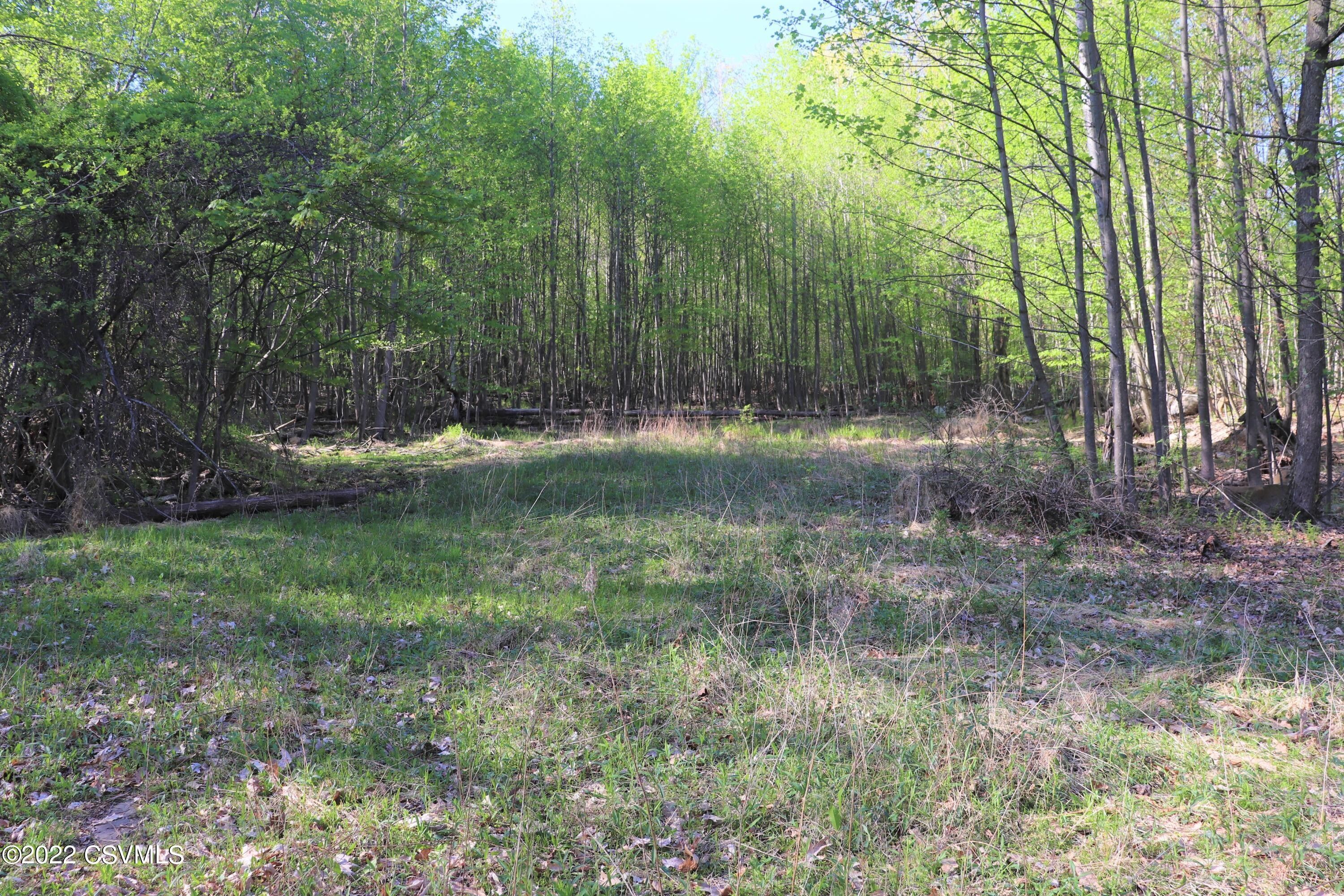 PA93 Highway, Berwick, PA 18603 MLS 2090787 LandWatch