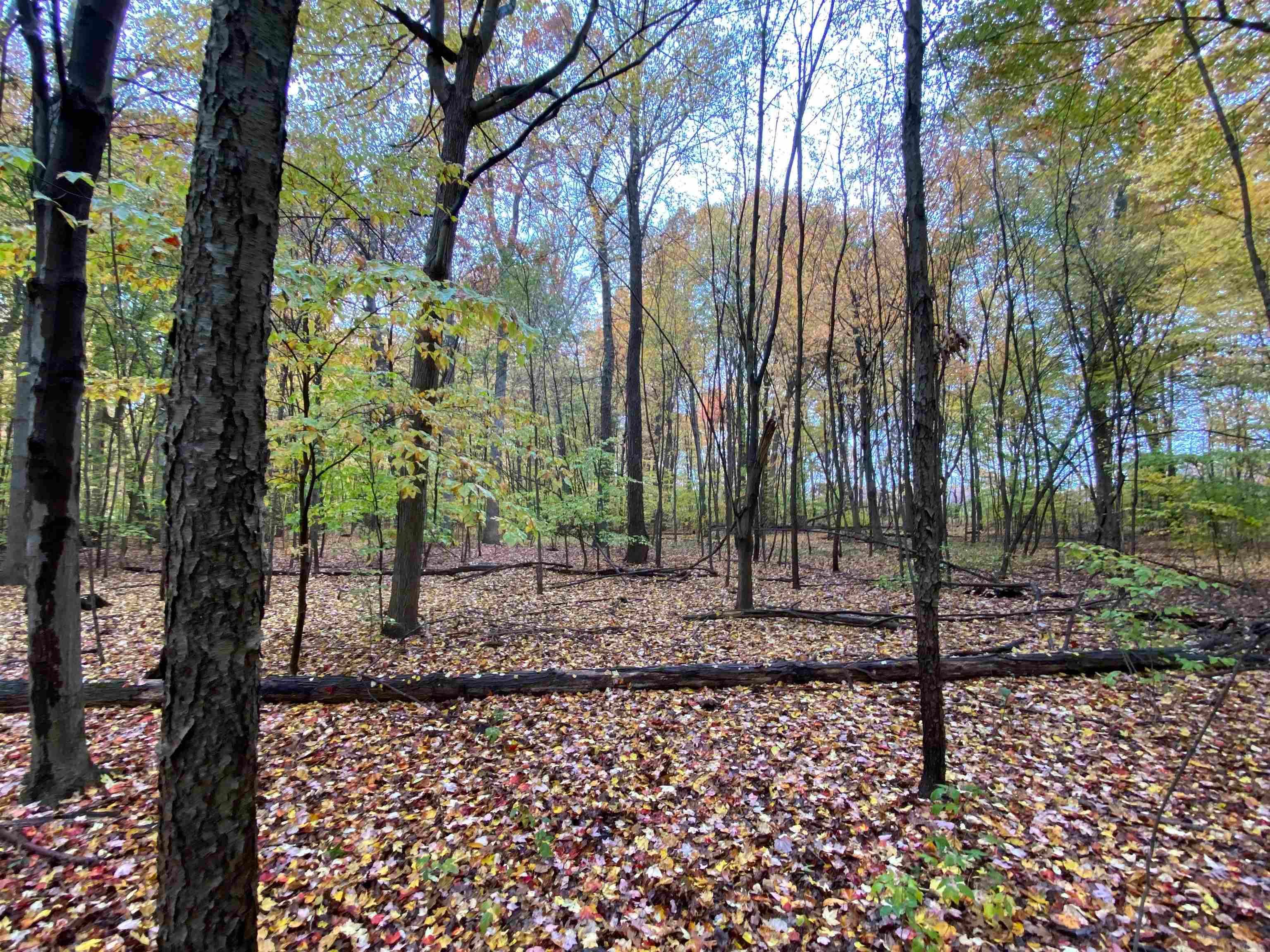 Elkhart, Elkhart County, IN Undeveloped Land, House for sale Property