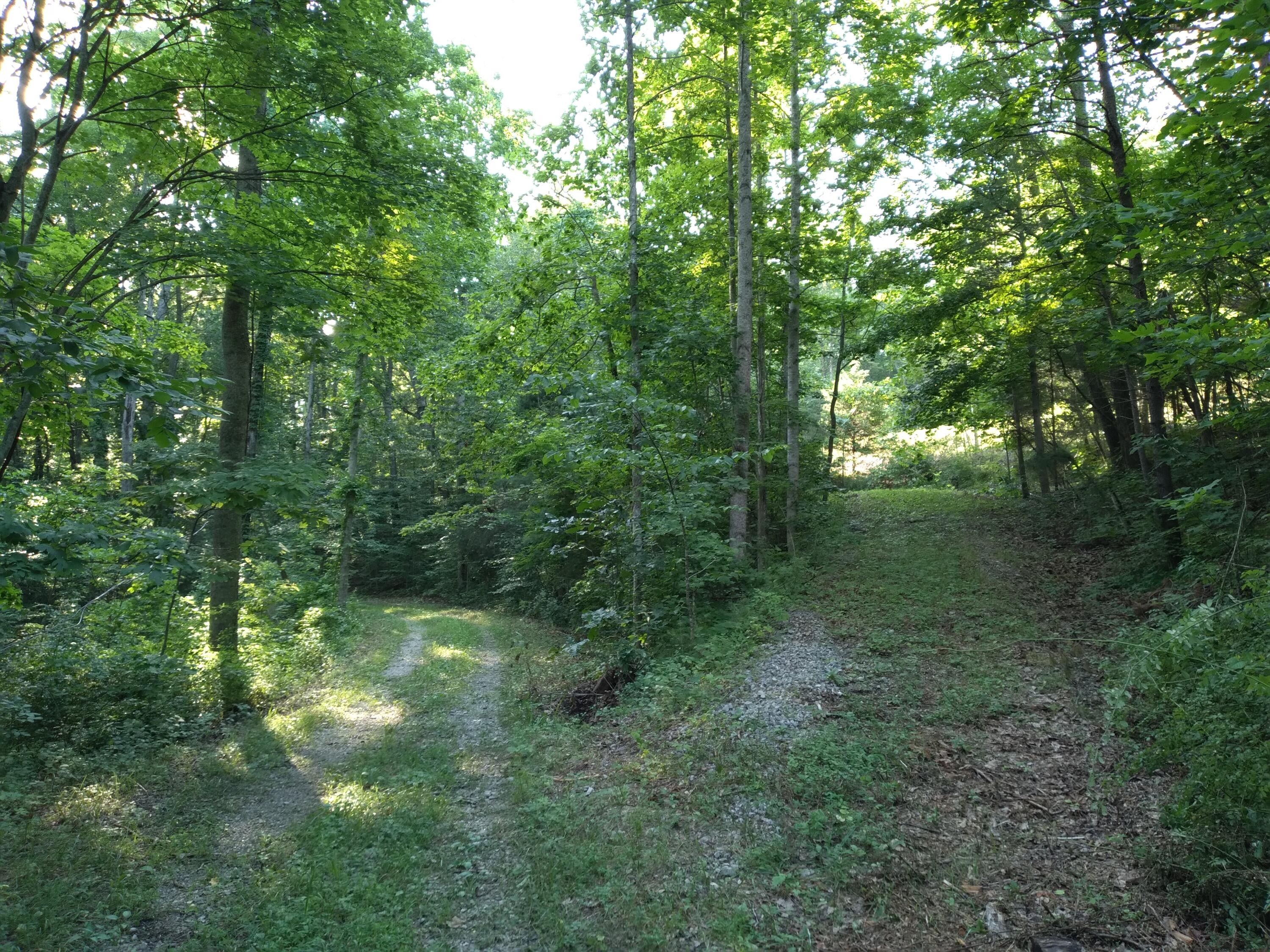 Stanton, Powell County, KY Farms and Ranches for sale Property ID