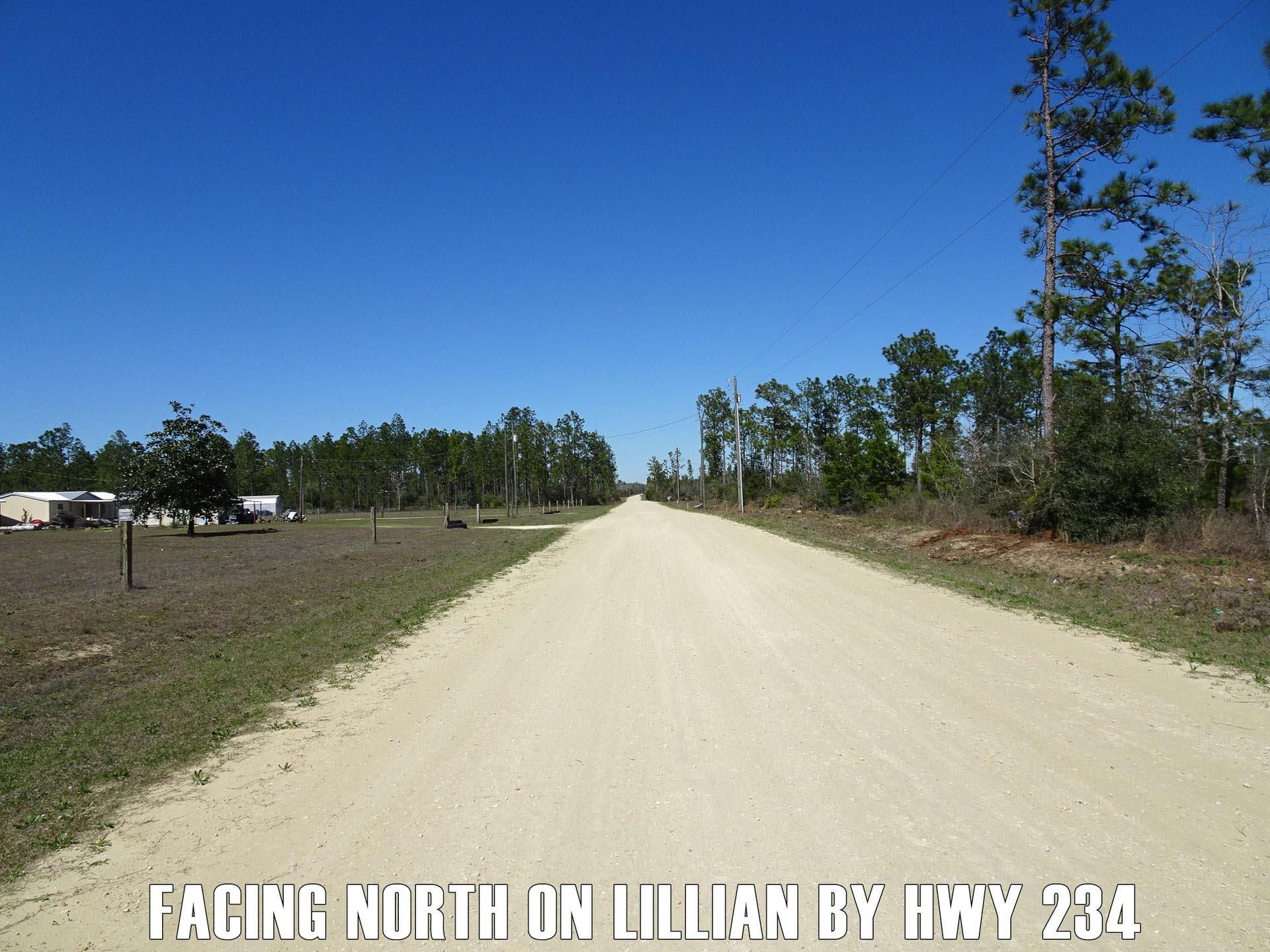 9,900 Down PaymentTBD Lake Lillian Ave, Fountain, FL 32421 MLS 32