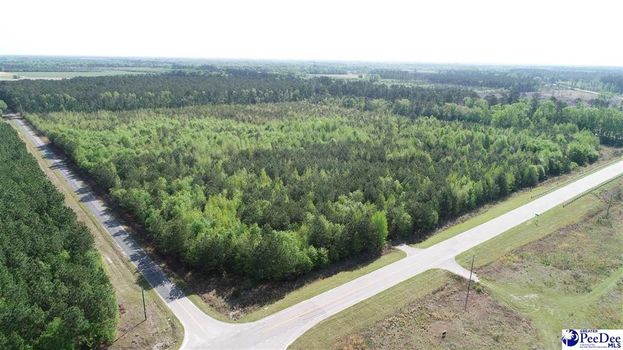 Latta, Dillon County, SC Undeveloped Land for sale Property ID