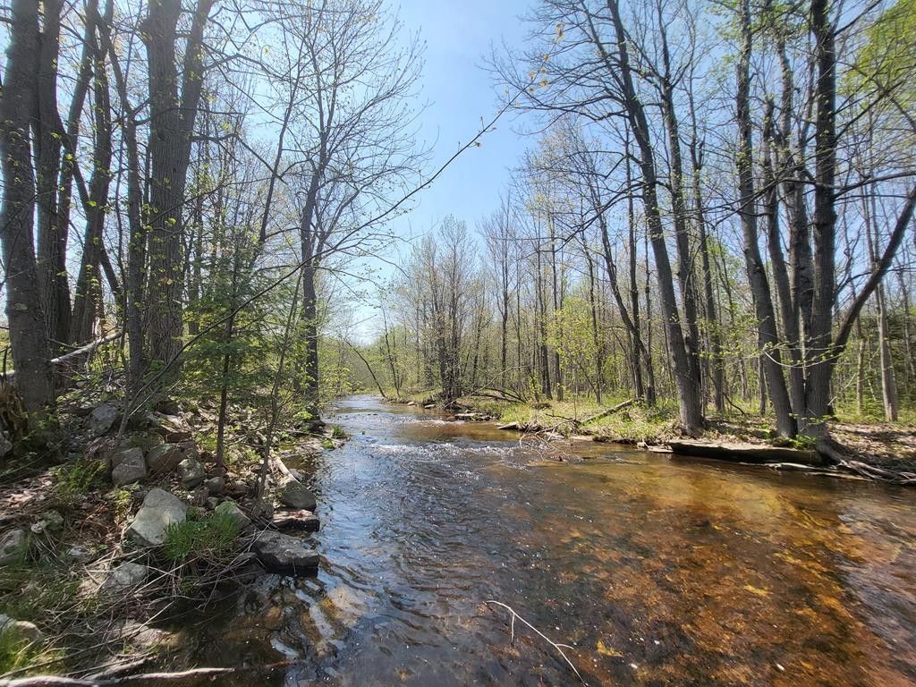 Altona, Clinton County, NY Undeveloped Land for sale Property ID