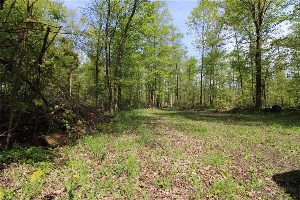 Williamsfield, Ashtabula County, OH Undeveloped Land for sale Property