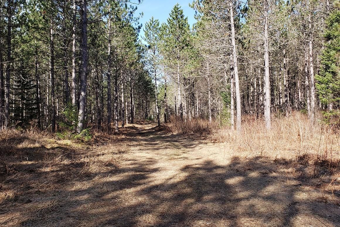 County Road O, Argonne, WI 54511 MLS PRW01 LandWatch